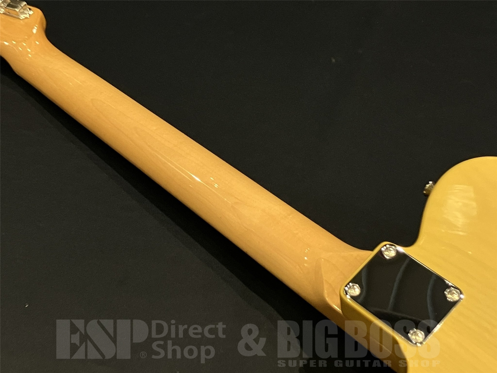 即納可能】EDWARDS(エドワーズ) E-TE-ASM / Butter Scotch 京都店