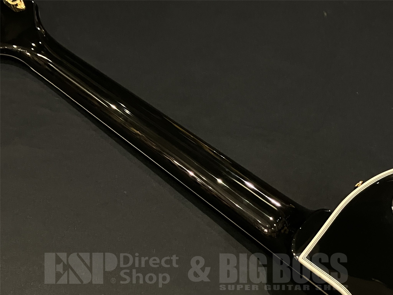 【即納可能】EDWARDS(エドワーズ) E-LP-CTM / Black 京都店 - 10