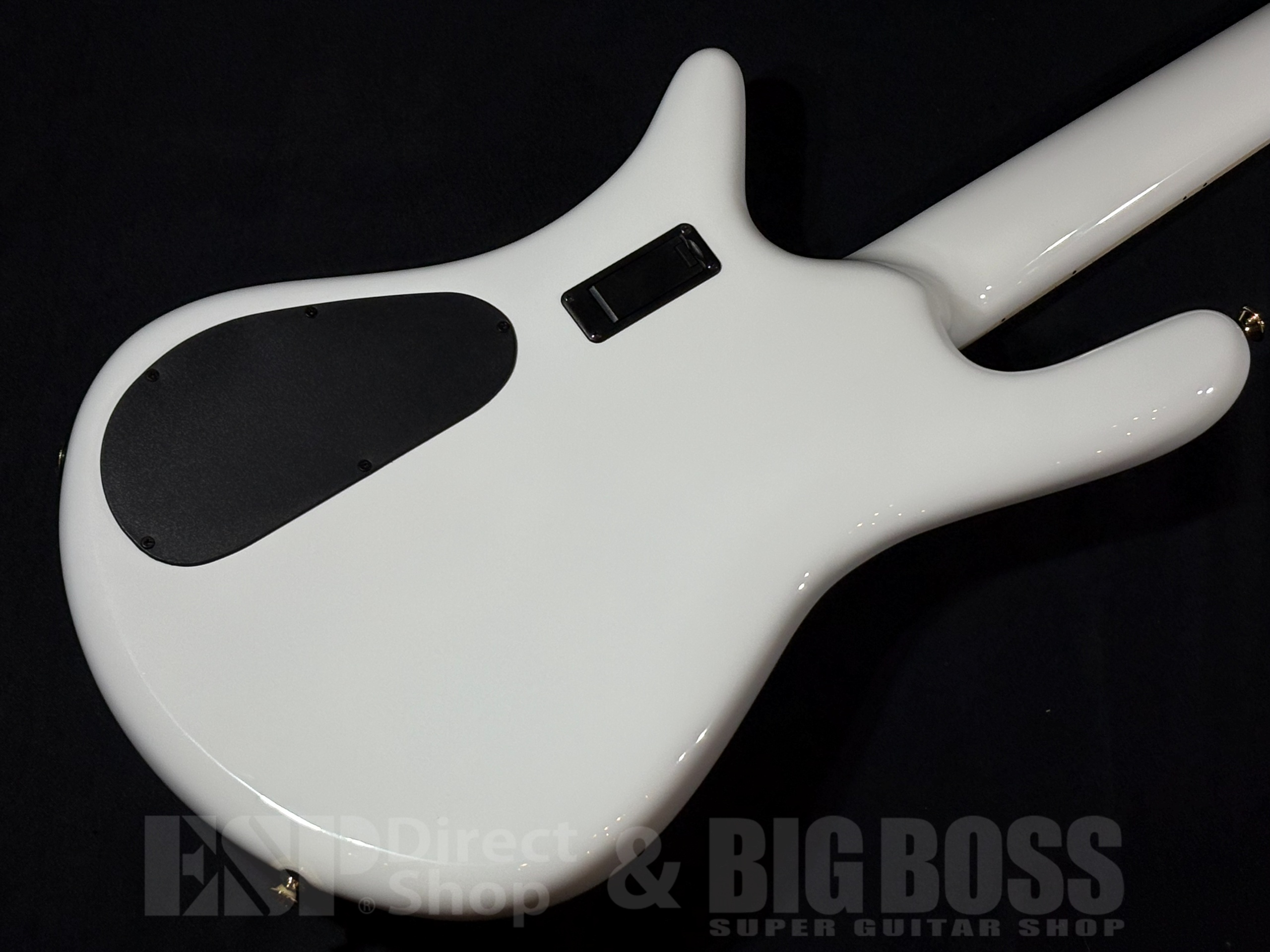 【即納可能】Spector(スペクター) EURO CST Japan Exclusive Series EURO 5 CST BK&BL w/WH Back Gloss 大阪店 - 7