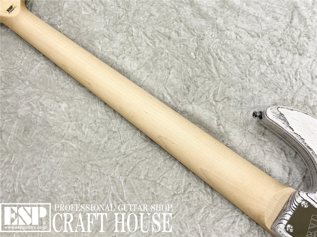 【即納可能】ESP AMAZE-AS-5 / Driftwood White w/Black Filler 渋谷店 - 7