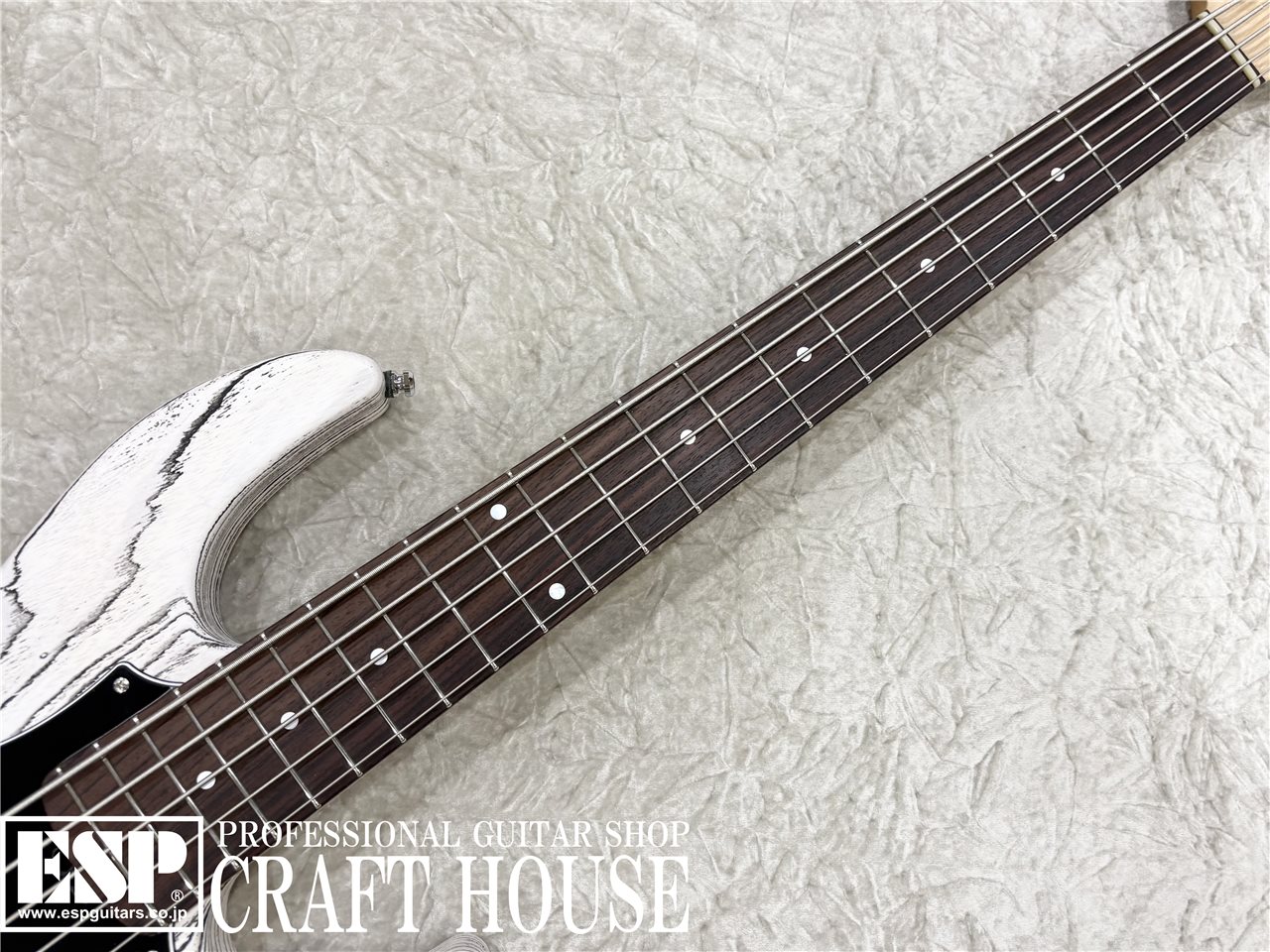 【即納可能】ESP AMAZE-AS-5 / Driftwood White w/Black Filler 渋谷店 - 3