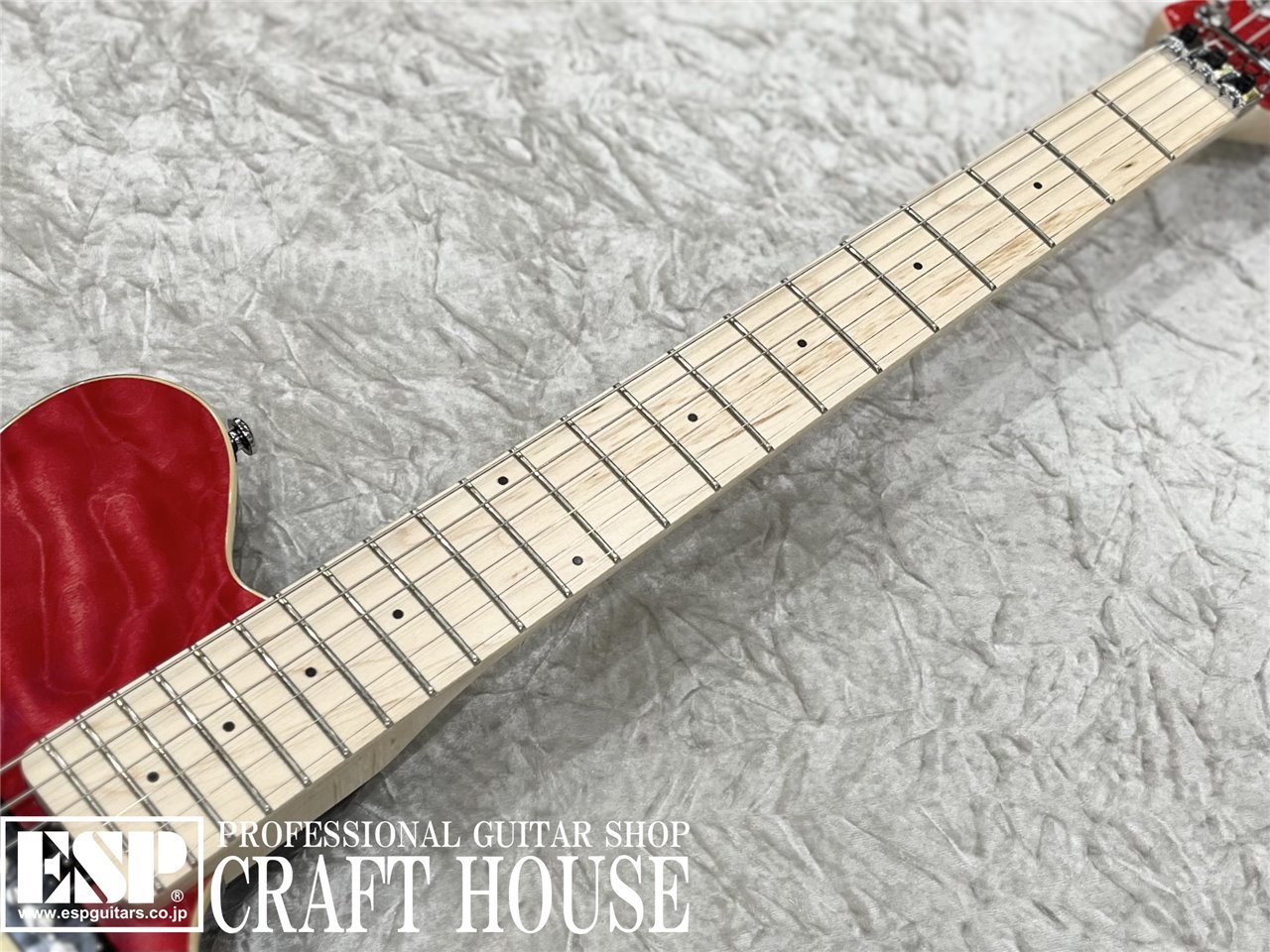 【即納可能】Sterling by MUSIC MAN AXIS AX40 / Trans Red　渋谷店