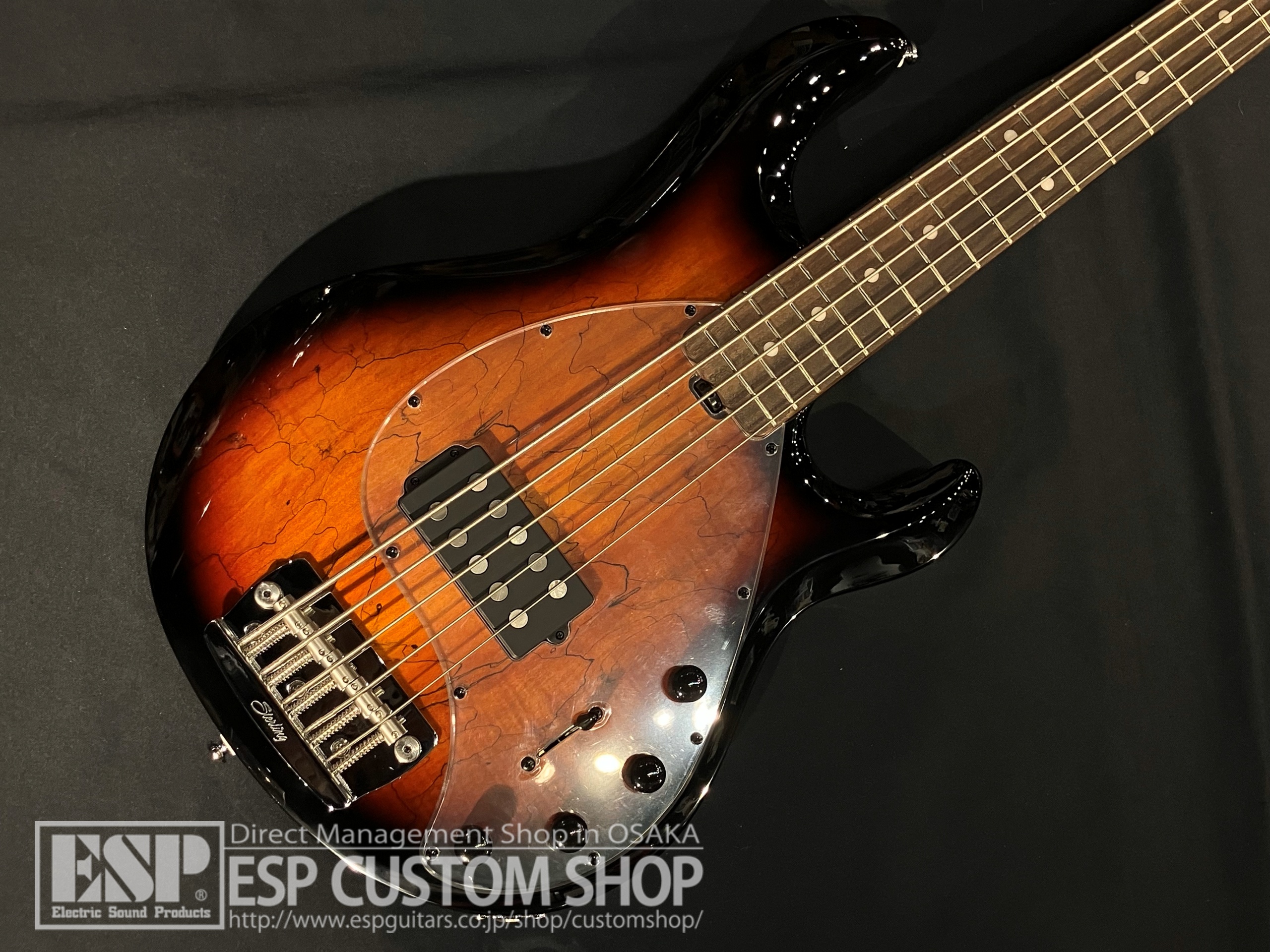 【即納可能】Sterling by MUSIC MAN(スターリンバイミュージックマン) RAY35SM / 3 Tone Sunburst 大阪店