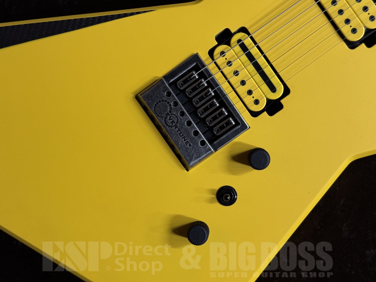 【即納可能/プロモーション価格】RuF Guitars(ルーフギター) Professor Euler 6 茶水店 - 2