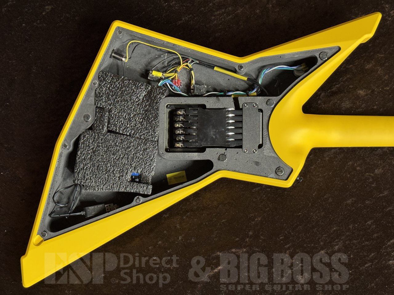 【即納可能/プロモーション価格】RuF Guitars(ルーフギター) Professor Euler 6 茶水店 - 7