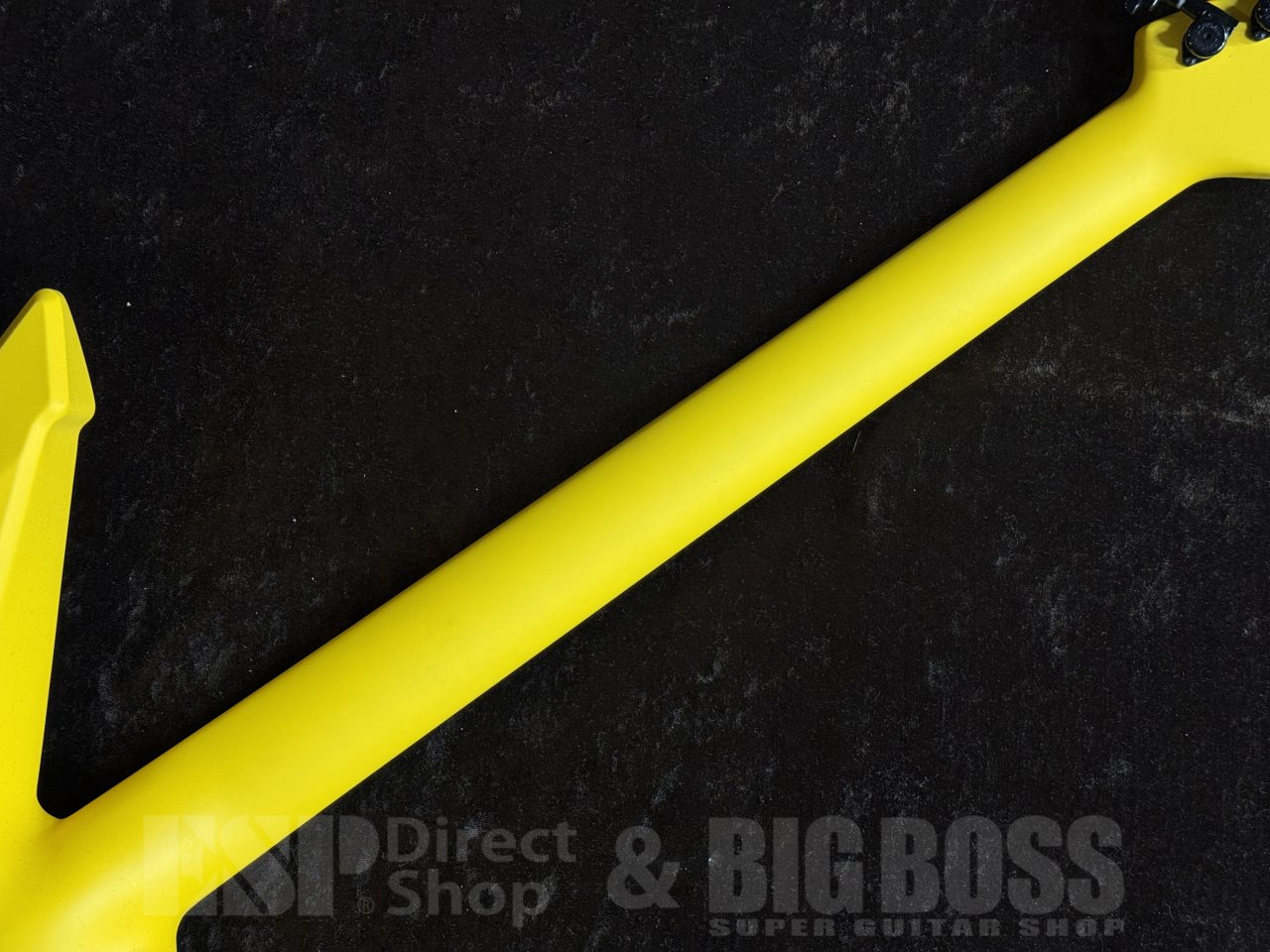 【即納可能/プロモーション価格】RuF Guitars(ルーフギター) Professor Euler 6 茶水店 - 8