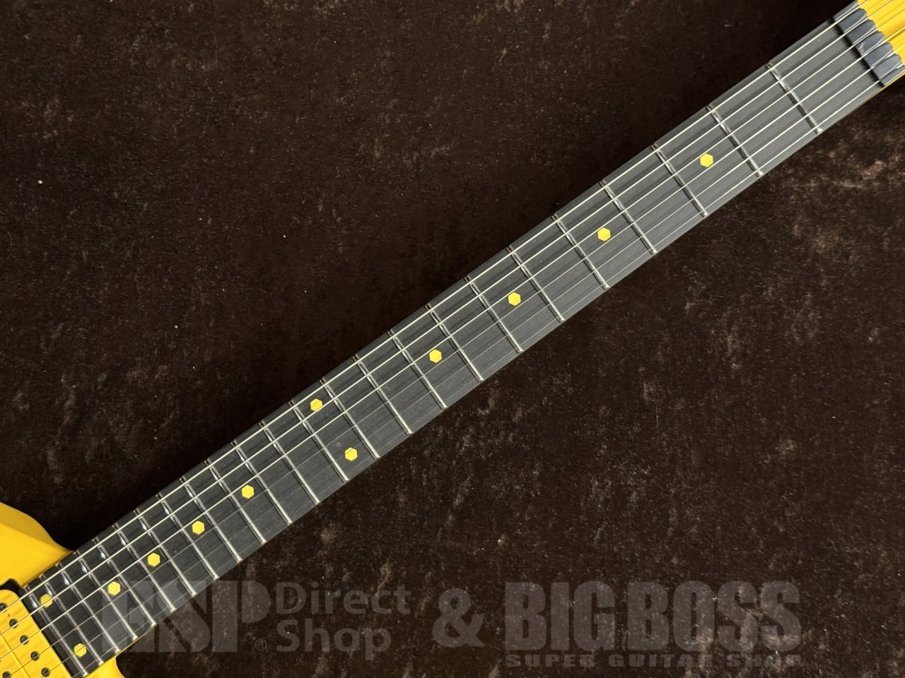 【即納可能/プロモーション価格】RuF Guitars(ルーフギター) Professor Euler 6 茶水店 - 10