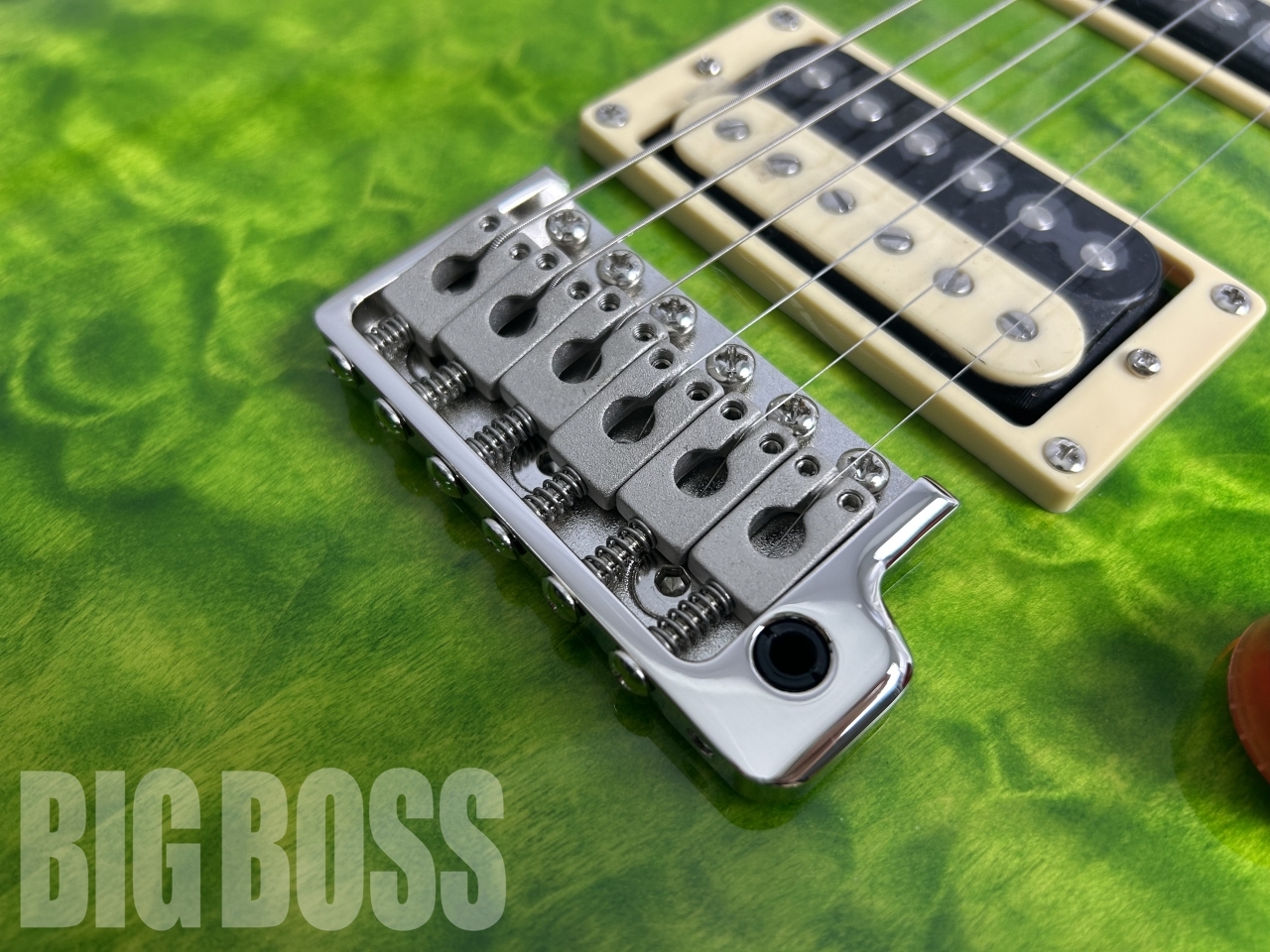 【即納可能】Paul Reed Smith(PRS) SE Custom 24 Quilt Package / Eriza Verde (2023年製) お茶の水駅前店 (東京)