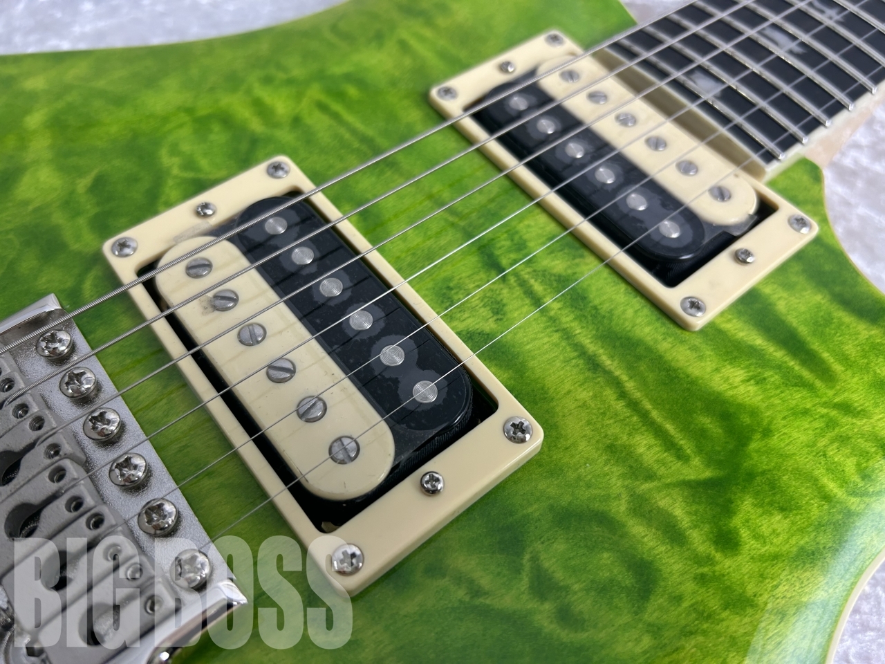 【即納可能】Paul Reed Smith(PRS) SE Custom 24 Quilt Package (Eriza Verde)お茶の水駅前店 (東京)