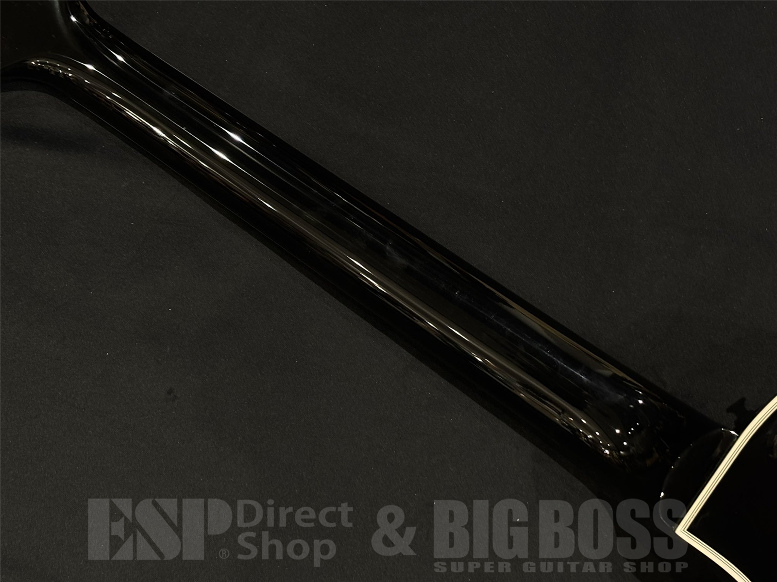 【即納可能】FUJIGEN(フジゲン) NLC200EMH / Black 京都店 - 10