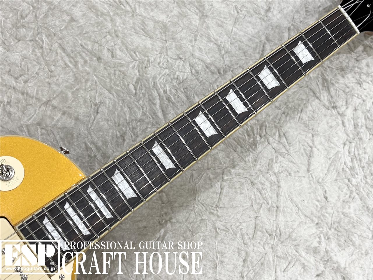 【即納可能】EDWARDS E-LP-STD/P / Gold Top 渋谷店 - 3