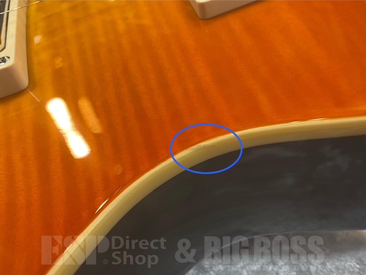 【即納可能】E-II EC FM FT SD /Vintage Honey Burst GWS - 7