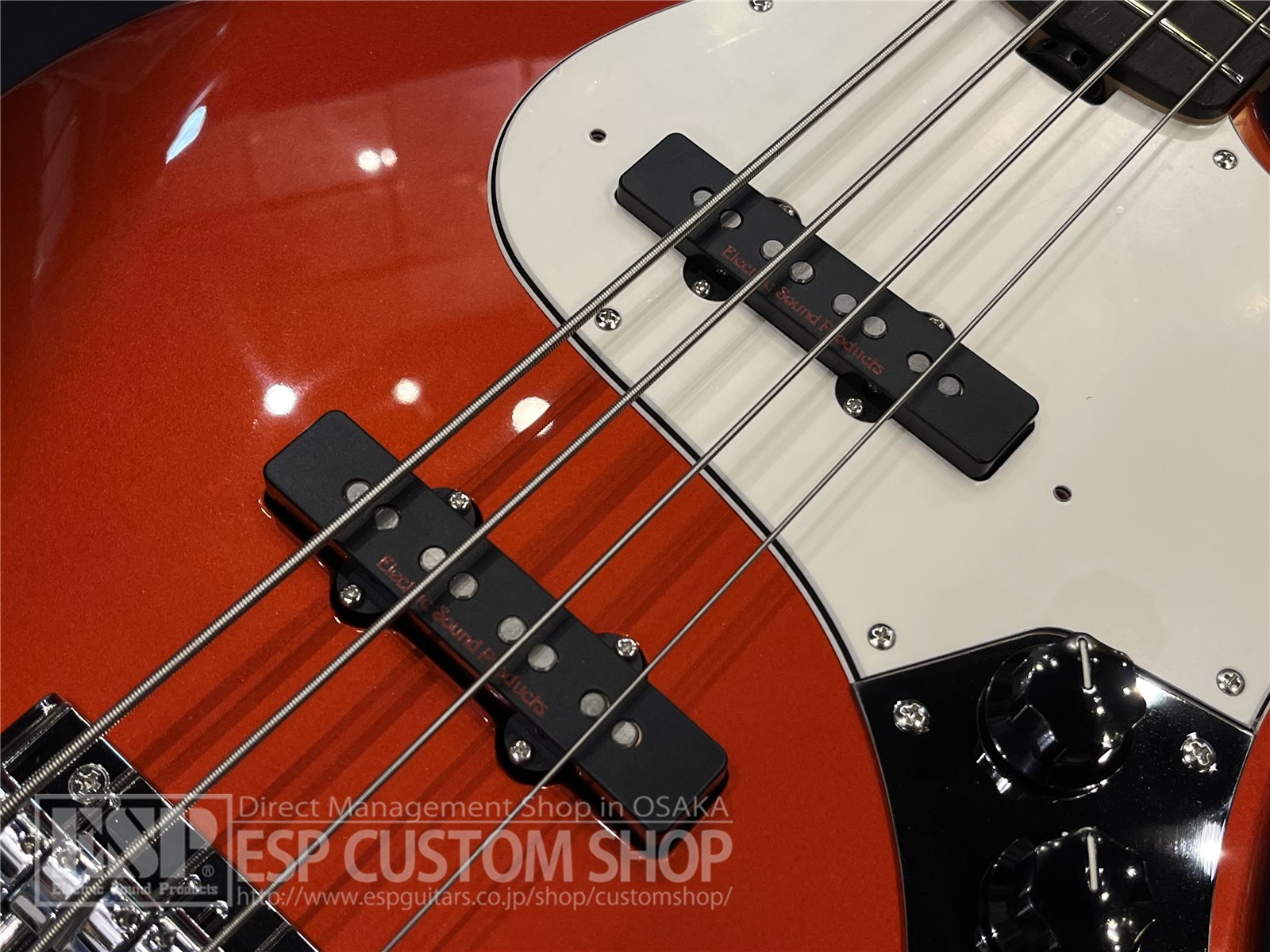 在庫販売 ESP Custom Lab CL-P-J-1b、n セット | www.delighterp.com