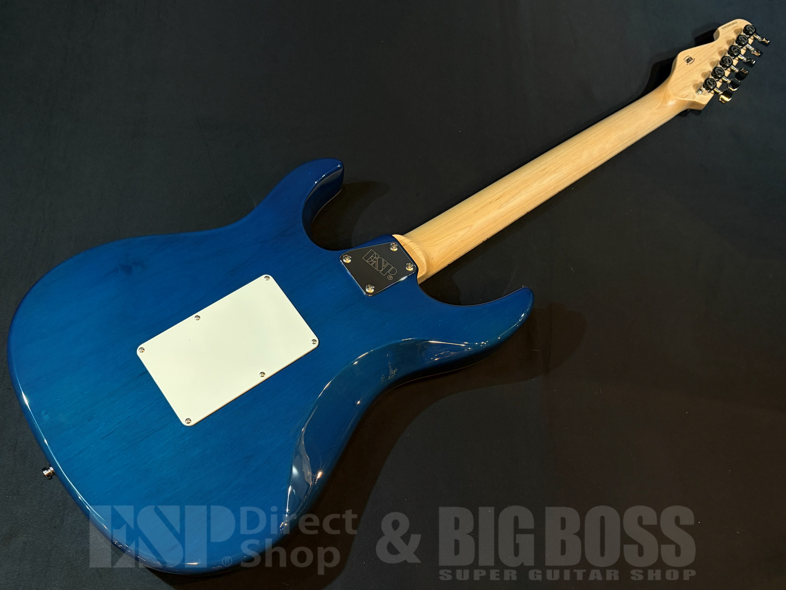 即納可能】E-II(イーツー) ST-1 / Aqua Marine 大阪店 - 【ESP直営