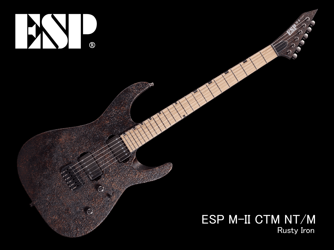 【受注生産】ESP(イーエスピー) M-II CTM NT/M (Rusty Iron)