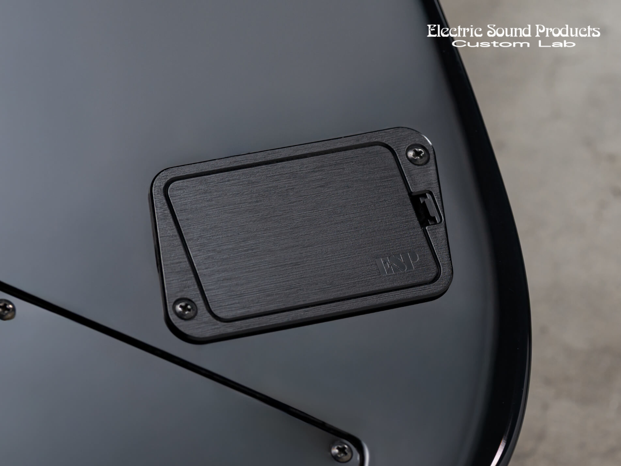 ESP(イーエスピー) EBB-02 Battery Box(バッテリーボックス) - 3