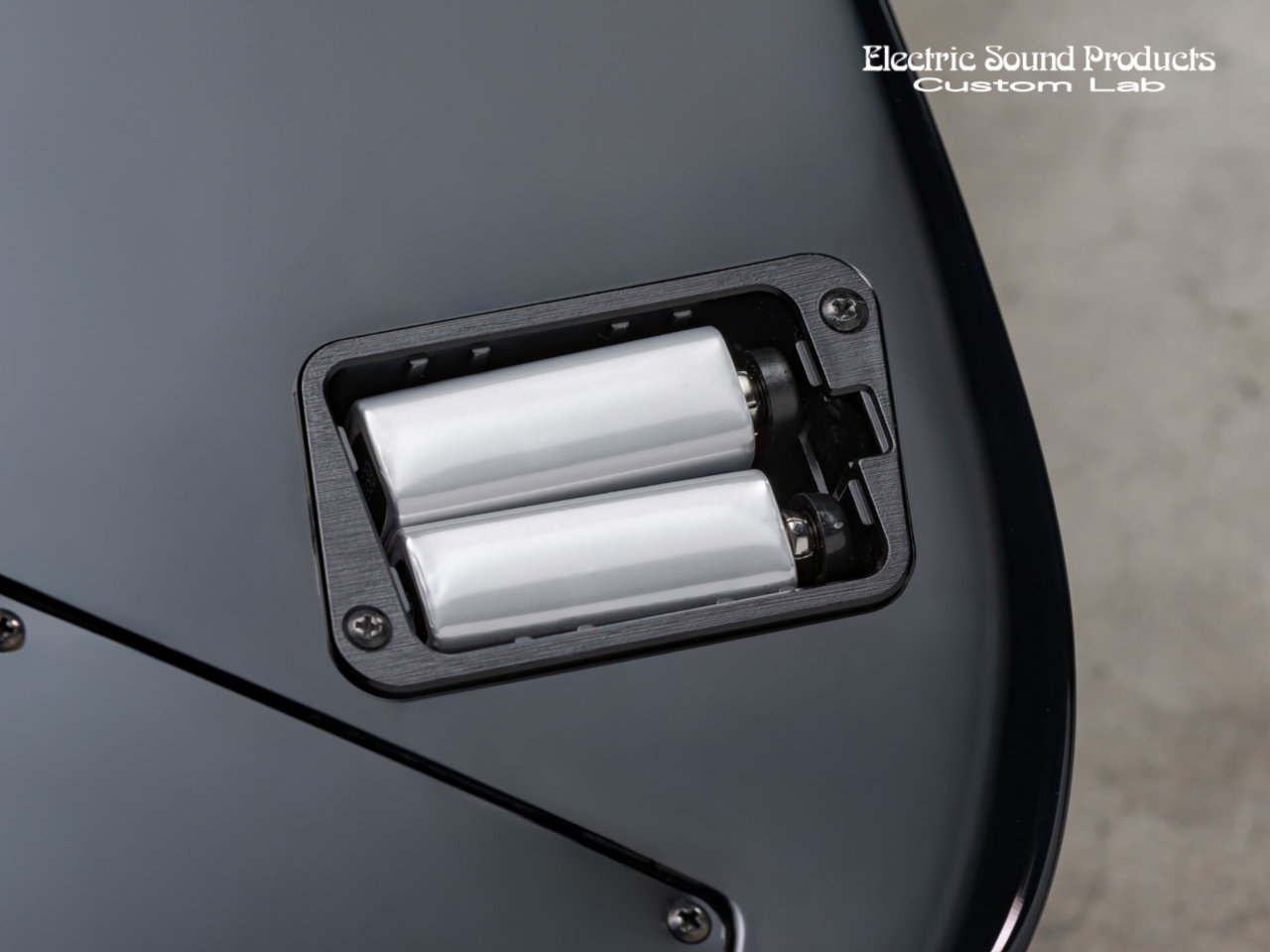 ESP(イーエスピー) EBB-02 Battery Box(バッテリーボックス) - 5