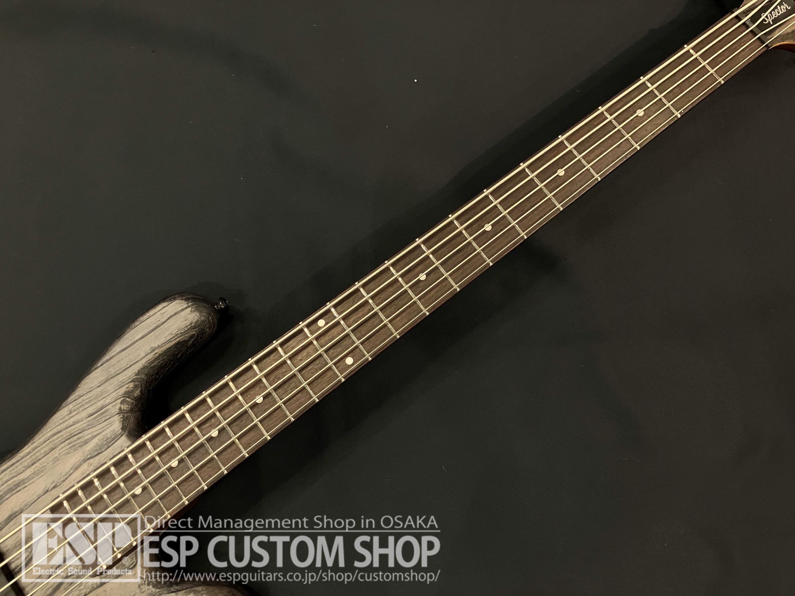 【即納可能】Spector NS Pulse 5 Charcoal Grey 大阪店