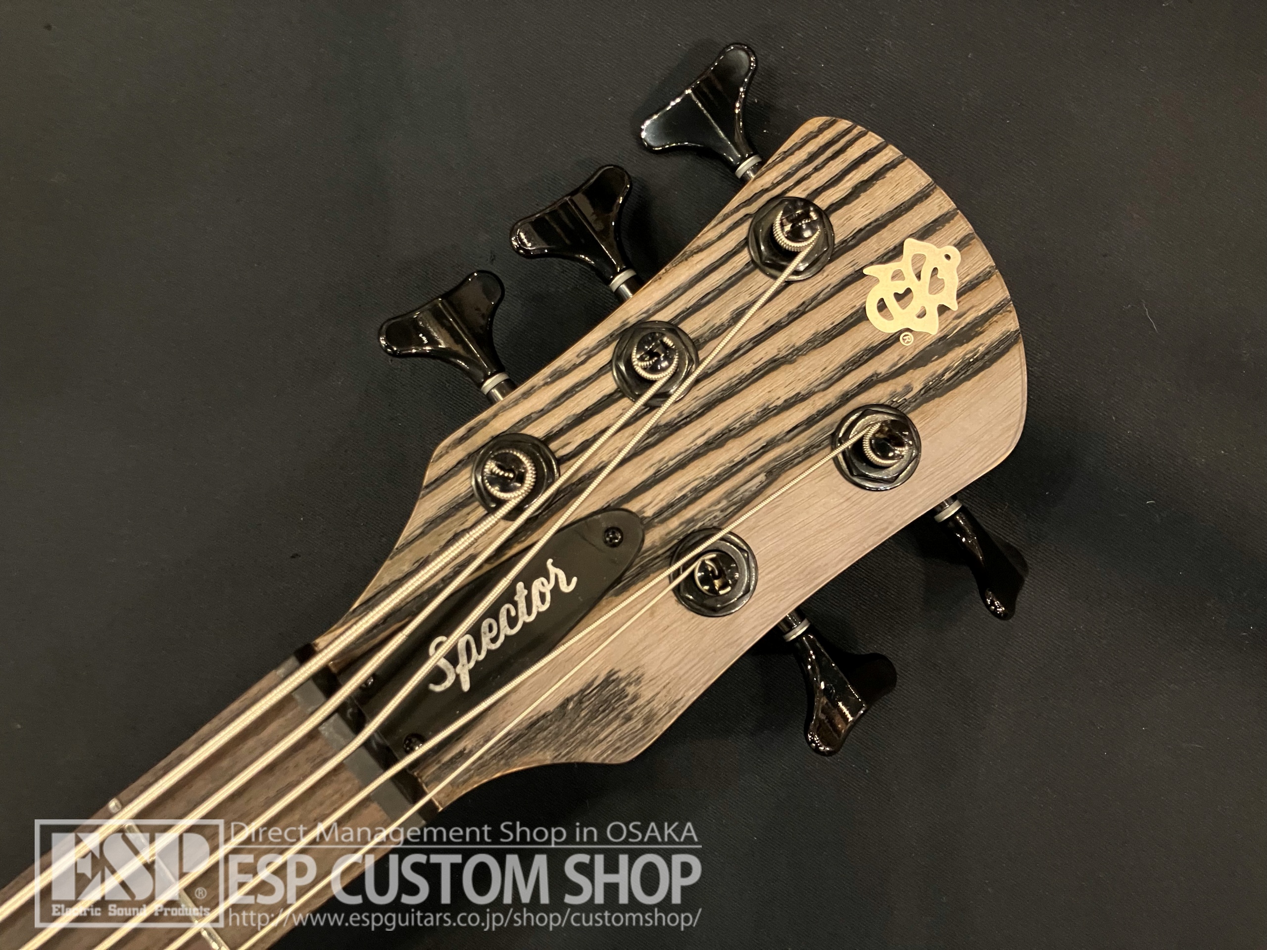 【即納可能】Spector NS Pulse 5 Charcoal Grey 大阪店