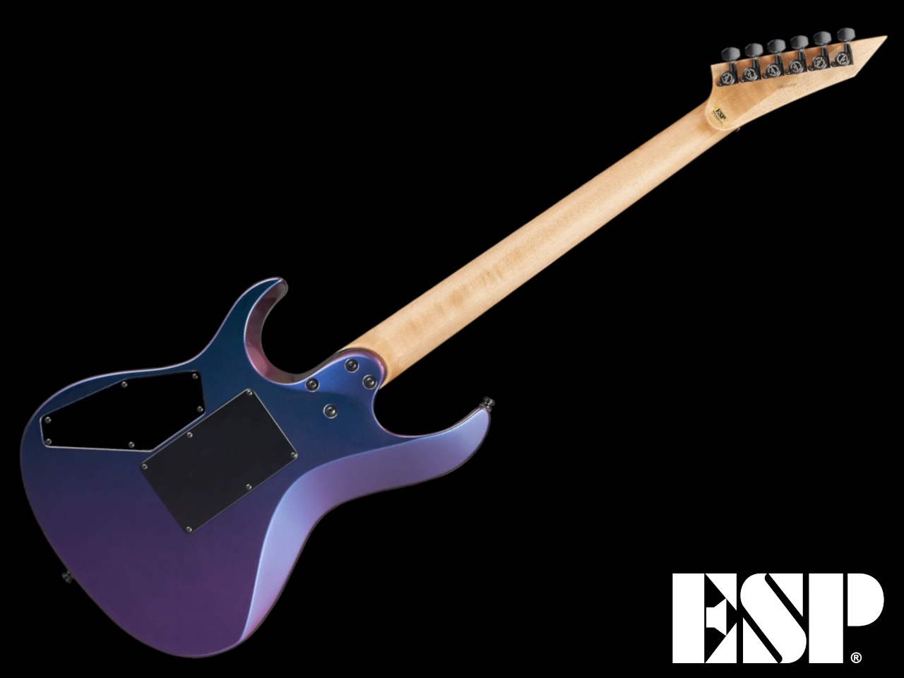 【受注生産】ESP(イーエスピー) MAVERICK / Andromeda II - 3