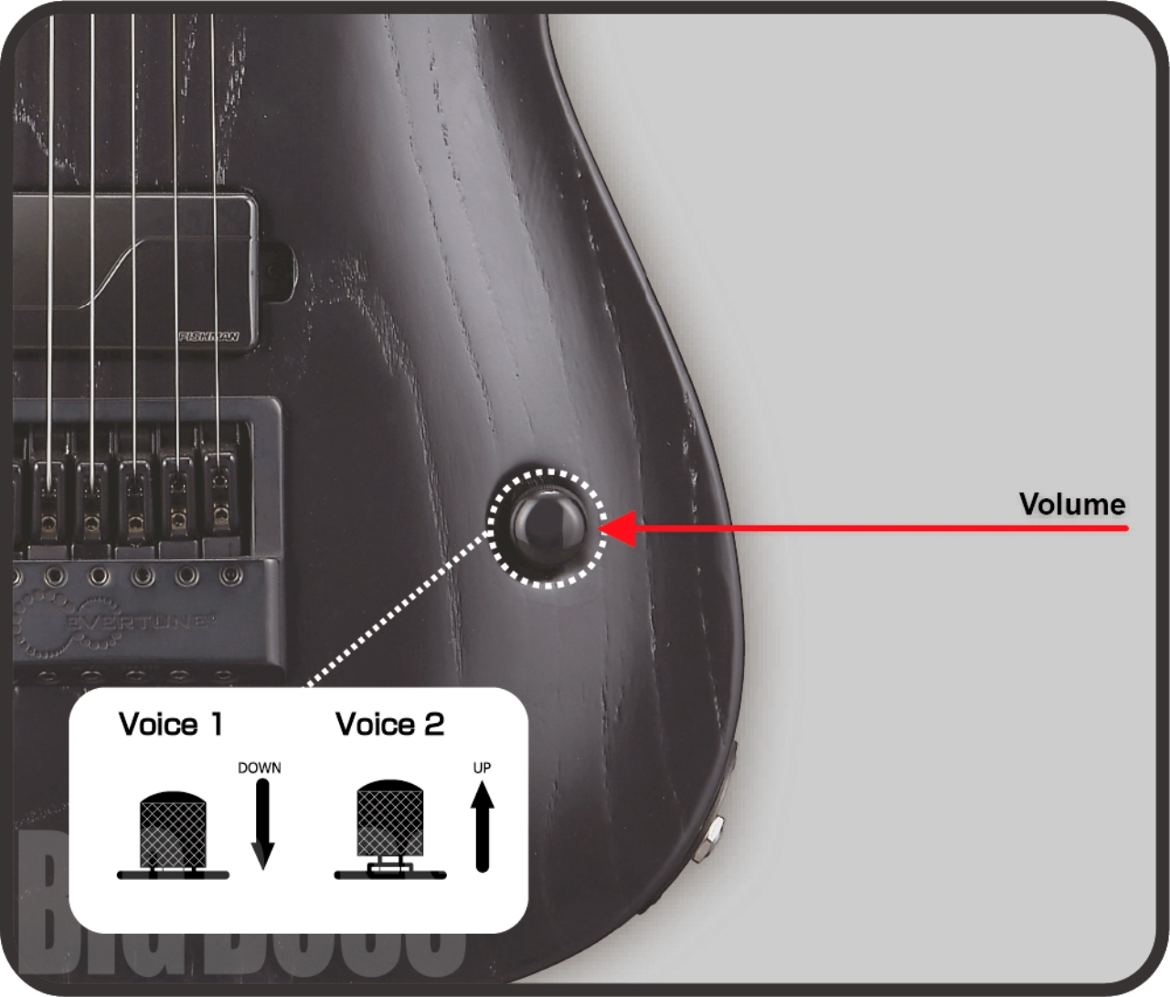 【即納可能】EDWARDS(エドワーズ)  E-HORIZON-ET/Baritone / Alternative Black お茶の水駅前店(東京) - 11