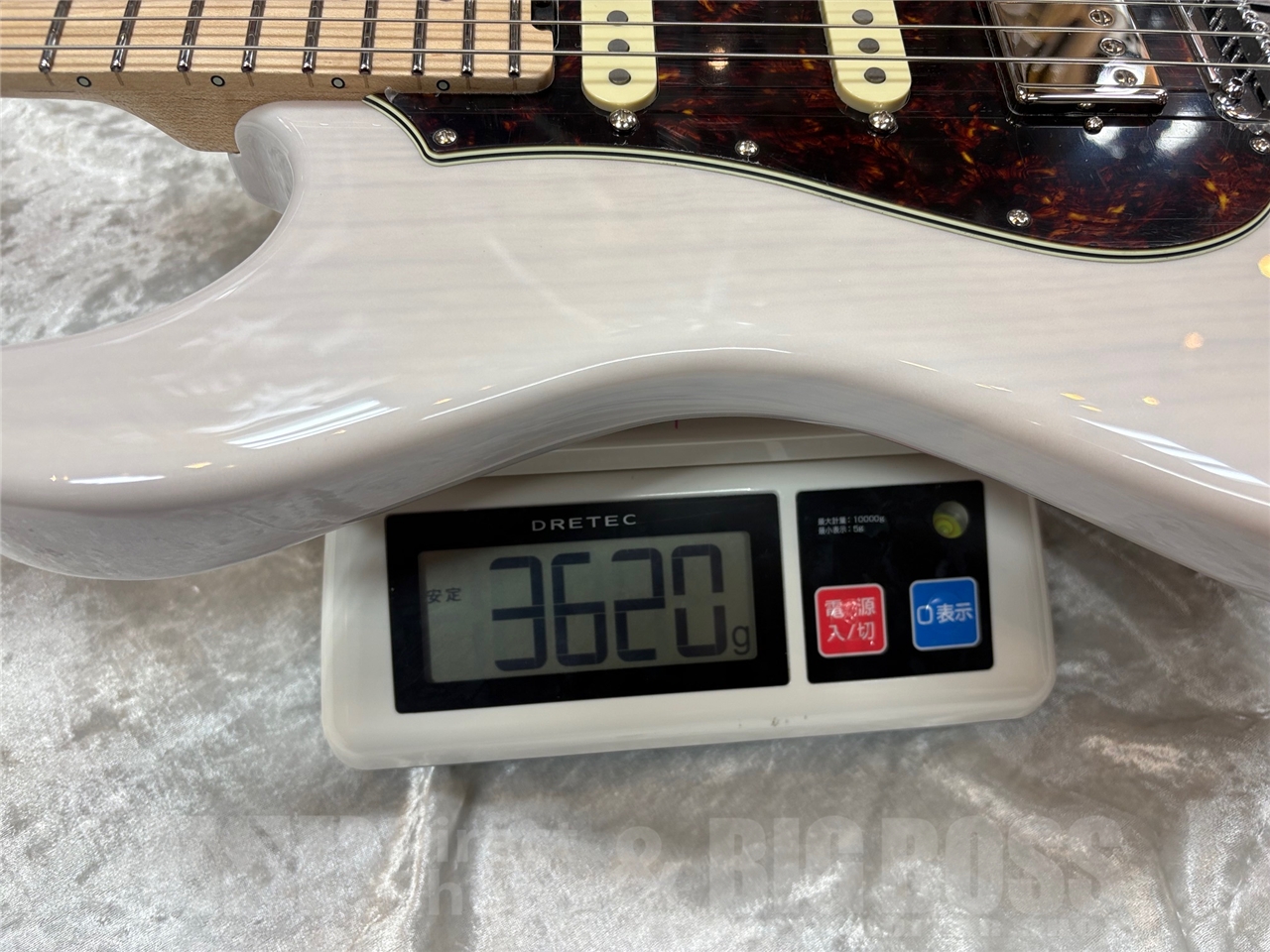 【即納可能】EDWARDS E-SNAPPER-AS/M /Blond GWS - 11