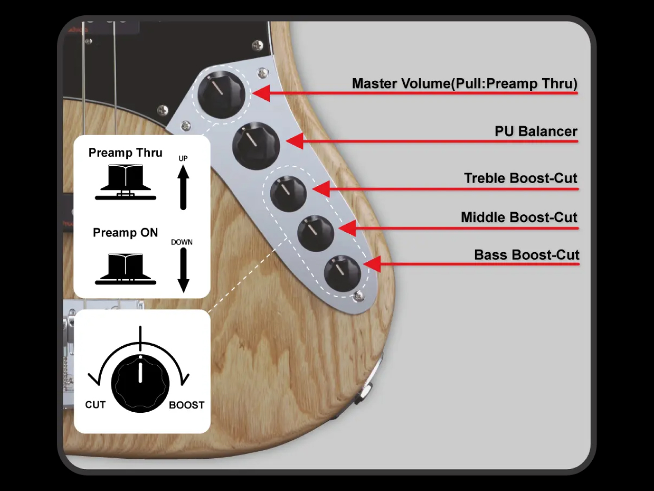 【受注生産】ESP(イーエスピー) AMAZE-AS-5 / Driftwood Blue w/Black Filler - 7