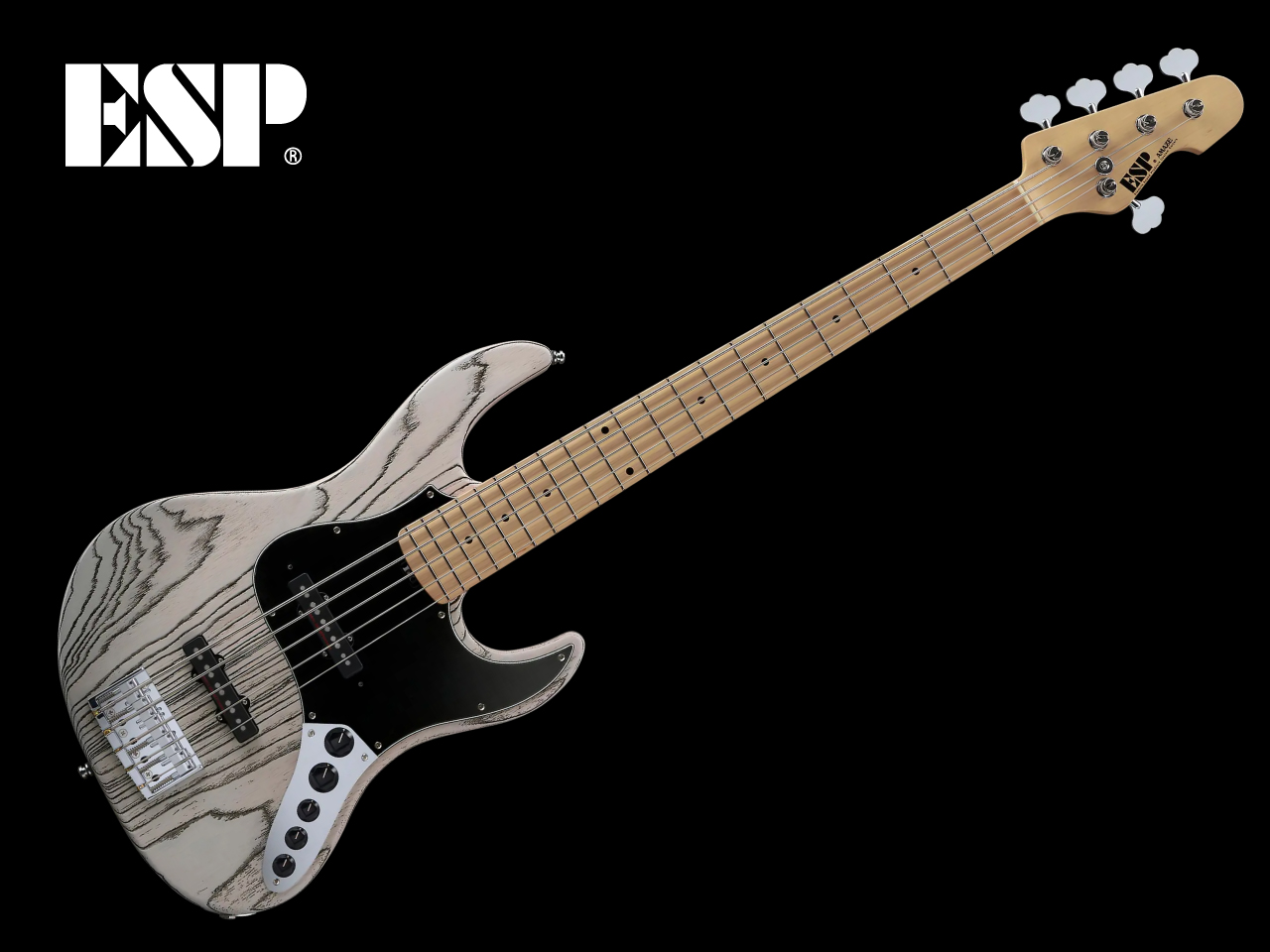 【受注生産】ESP(イーエスピー) AMAZE-AS-5 / Driftwood White w/Black Filler