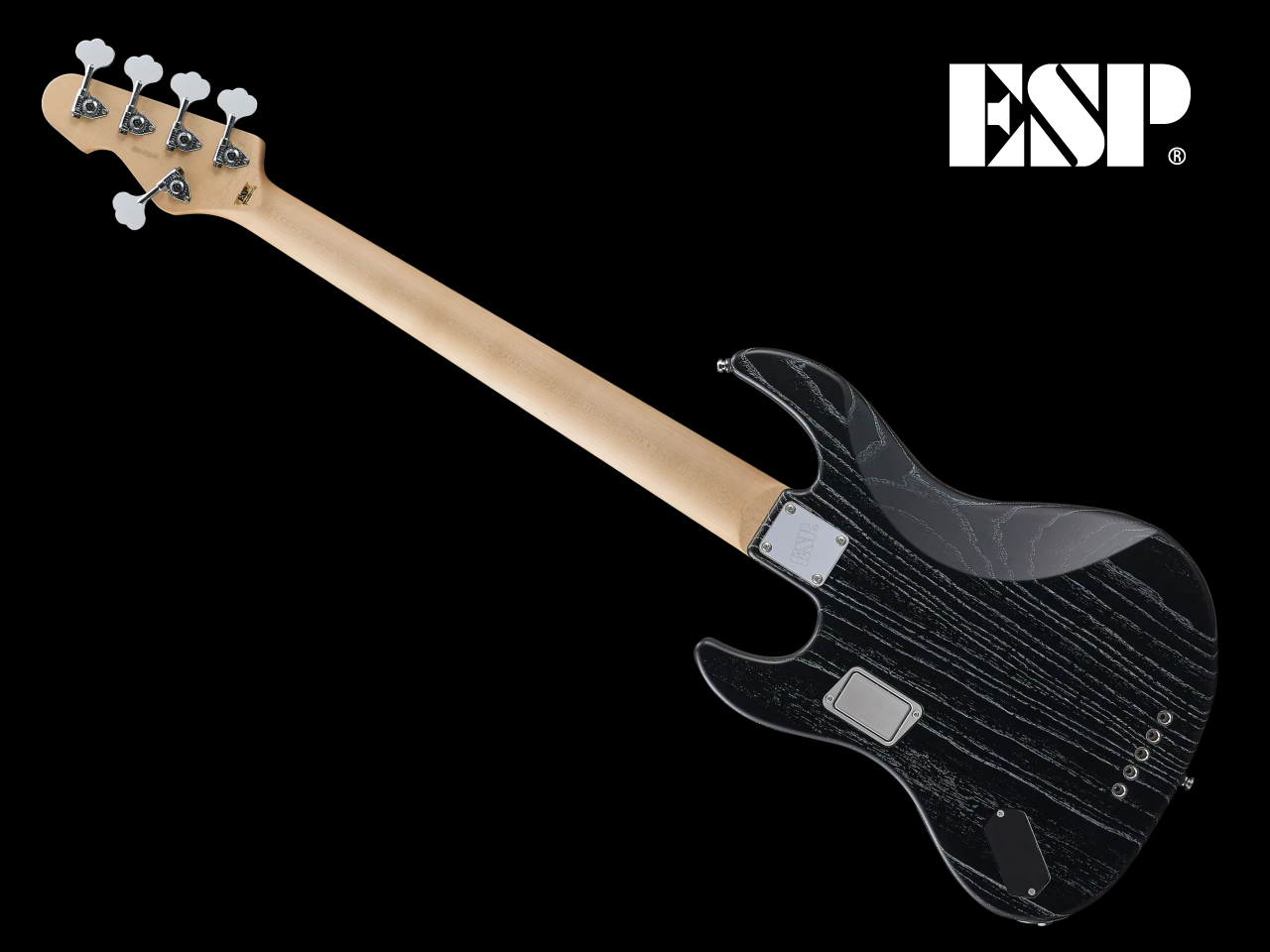 【受注生産】ESP(イーエスピー) AMAZE-AS-5 / Black w/White Filler - 2