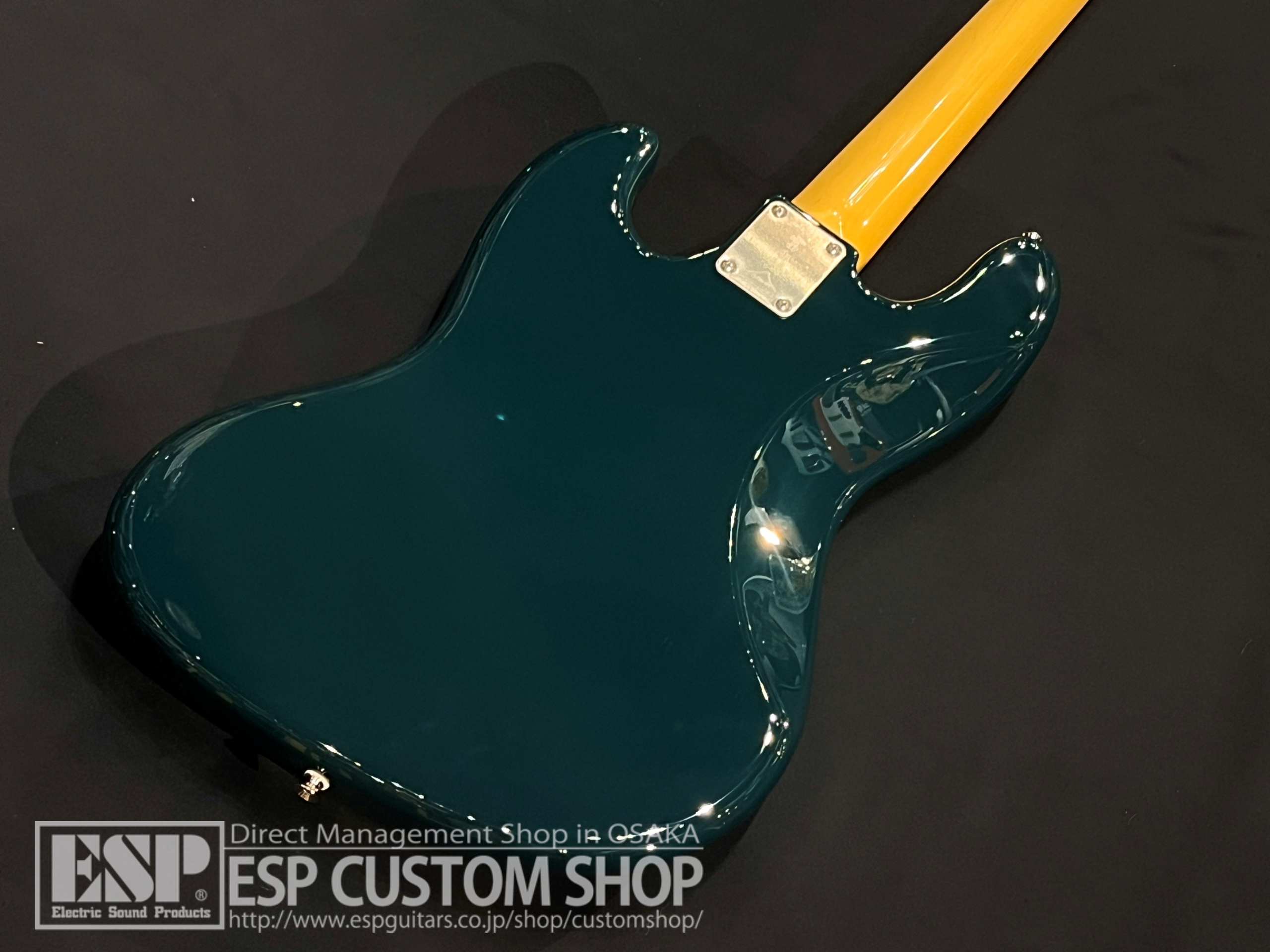 【即納可能】FUJIGEN(FGN) NJB200RAL BG (British Green) 大阪店