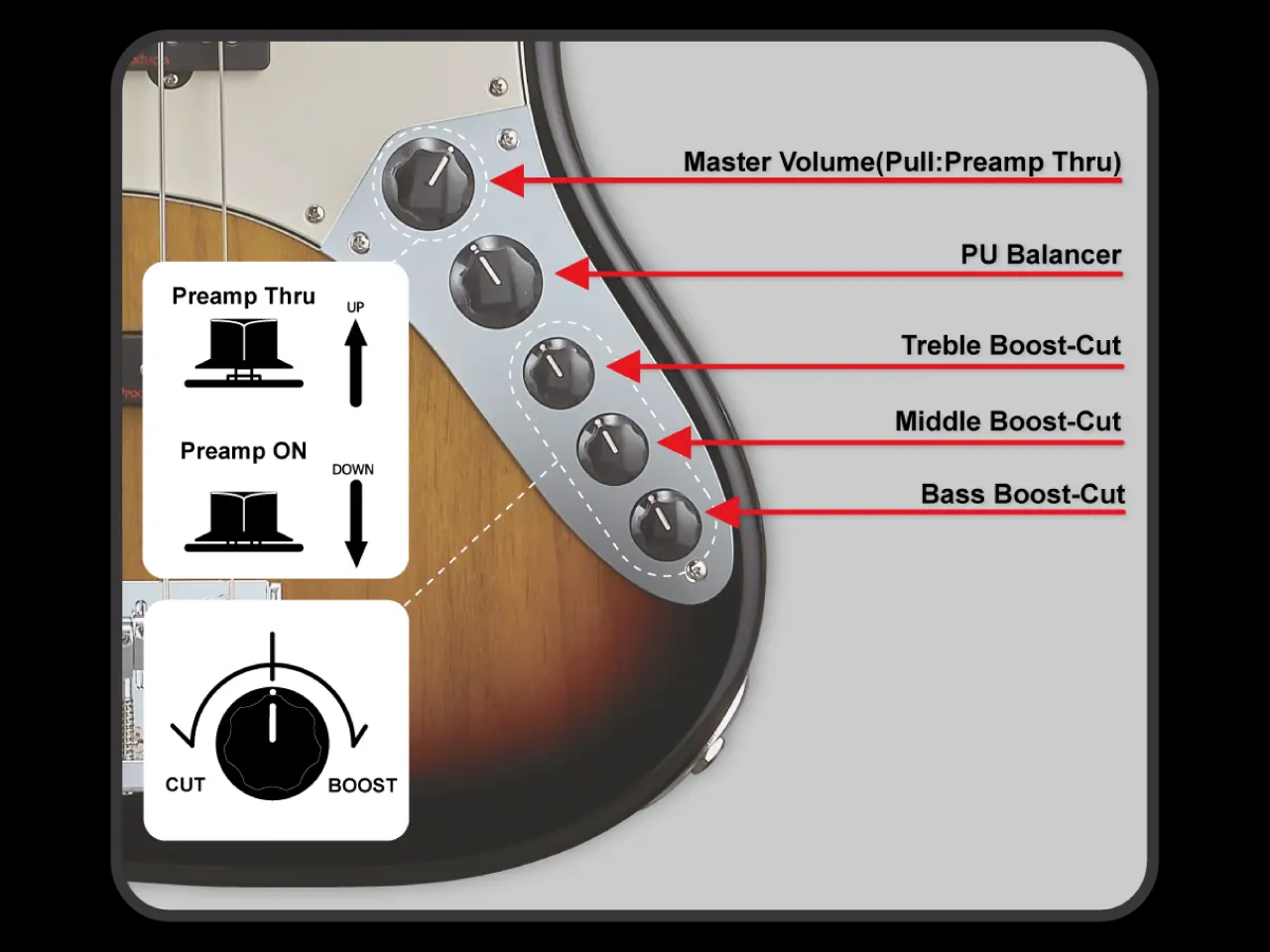 【受注生産】ESP(イーエスピー) AMAZE-AL-5 / 3 Tone Sunburst - 7