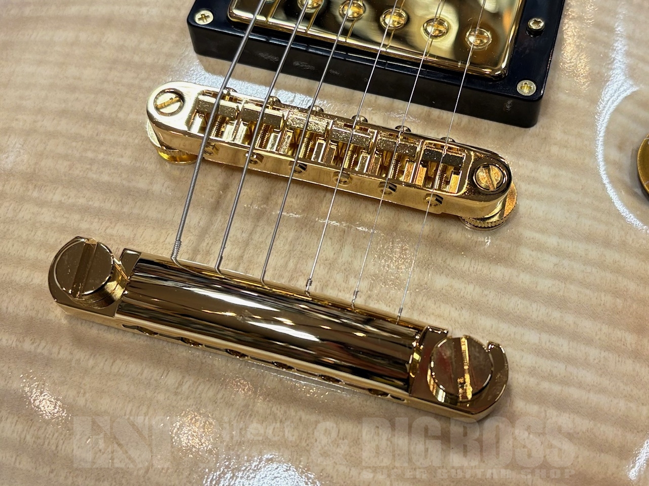 【即納可能】EDWARDS(エドワーズ) E-MYSTIQUE / See Thru White Sunburst GWS - 3