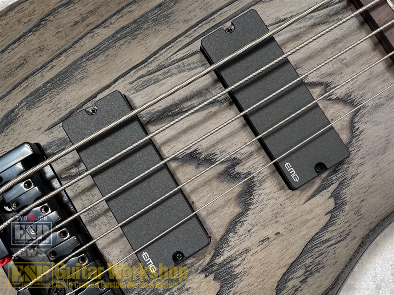 【即納可能】Spector NS Pulse 5/ Charcoal Grey  GWS