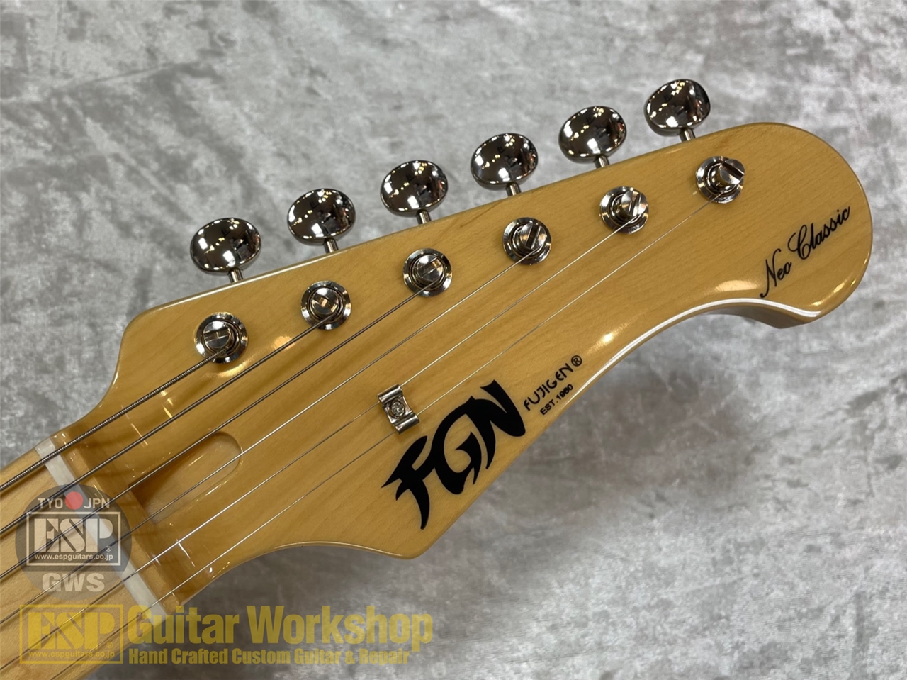 【即納可能】FUJIGEN(FGN) NTE100MAHT/ SBB　GWS