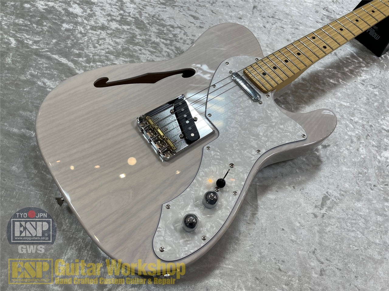 【即納可能】FUJIGEN(FGN) NTE100MAHT/ WB　GWS