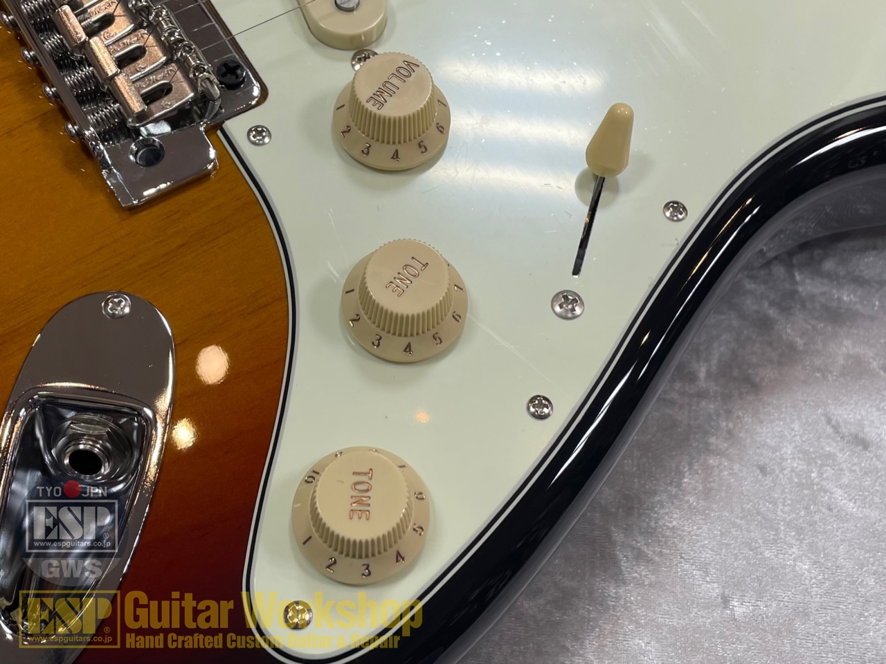 【即納可能】FUJIGEN(FGN) NST100RAL/ 3TS　GWS