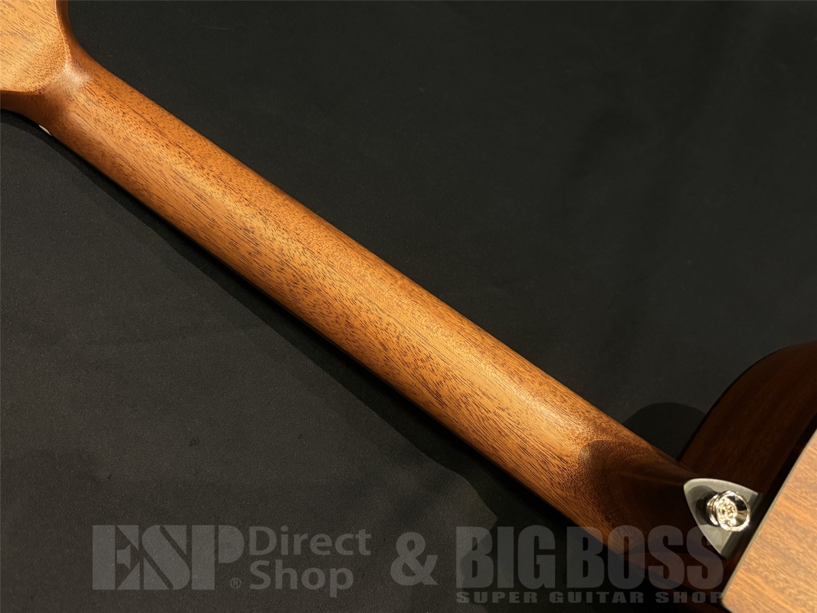 【即納可能】Zemaitis(ゼマイティス) CAF-90HCW / Denim Black Abalone 京都店 - 10