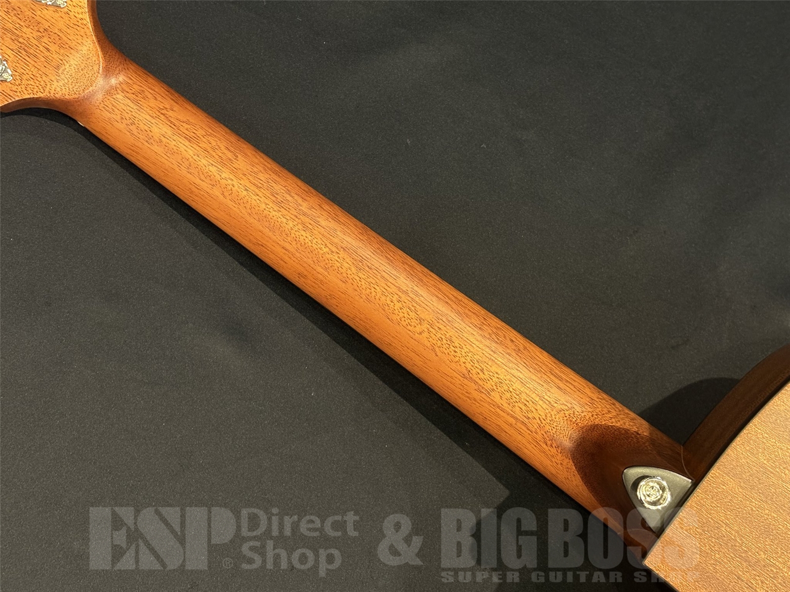 【即納可能】Zemaitis(ゼマイティス) CAF-90HCW / Forest Green Mother of Pearl 京都店 - 10