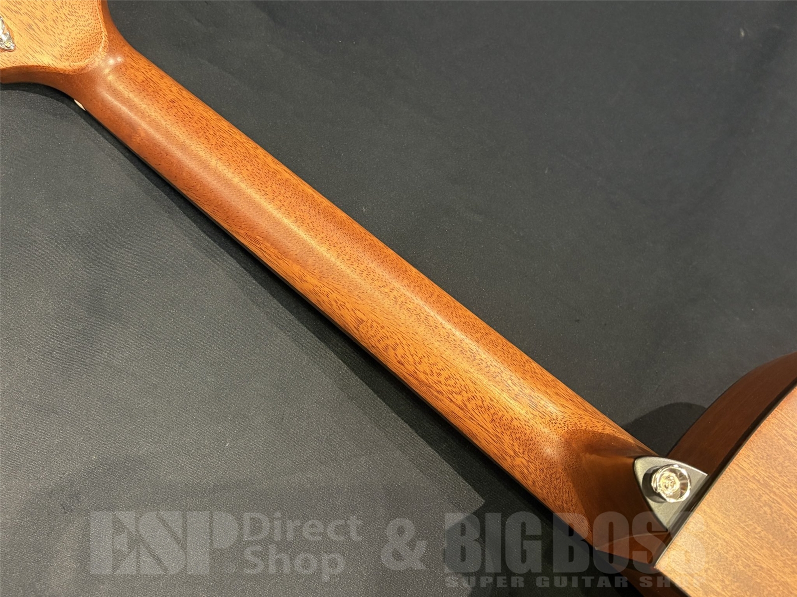 【即納可能】Zemaitis(ゼマイティス) CAF-90HCW / White Abalone 京都店 - 10