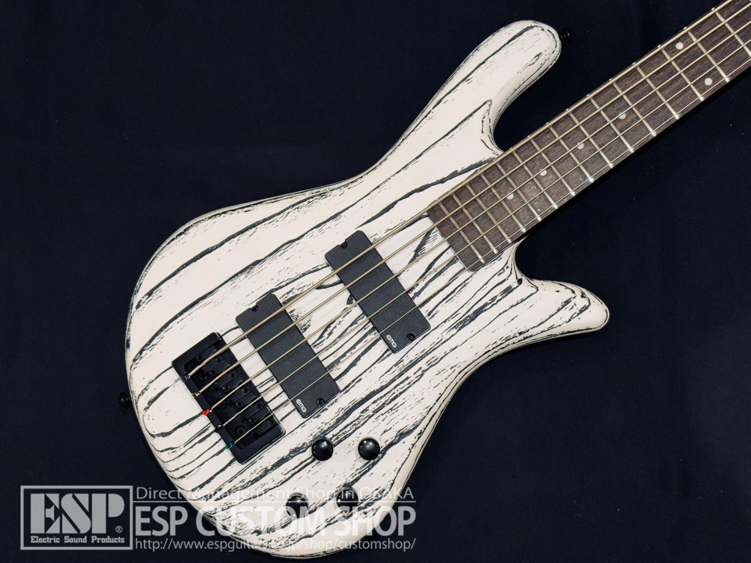 【即納可能】Spector NS PULSE 5 Satin EX-LTD / White w/Black Fill 大阪店