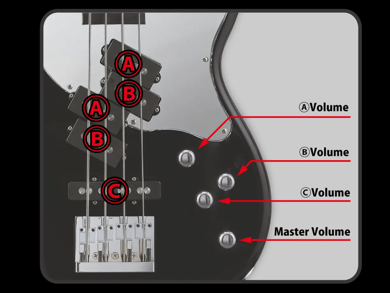 【期間限定・20本完全受注生産】EDWARDS(エドワーズ) Mark-IV AS (Ash Body)  -LOUDNESS 45th Anniversary- Masayoshi Yamashita Signature Model - 5
