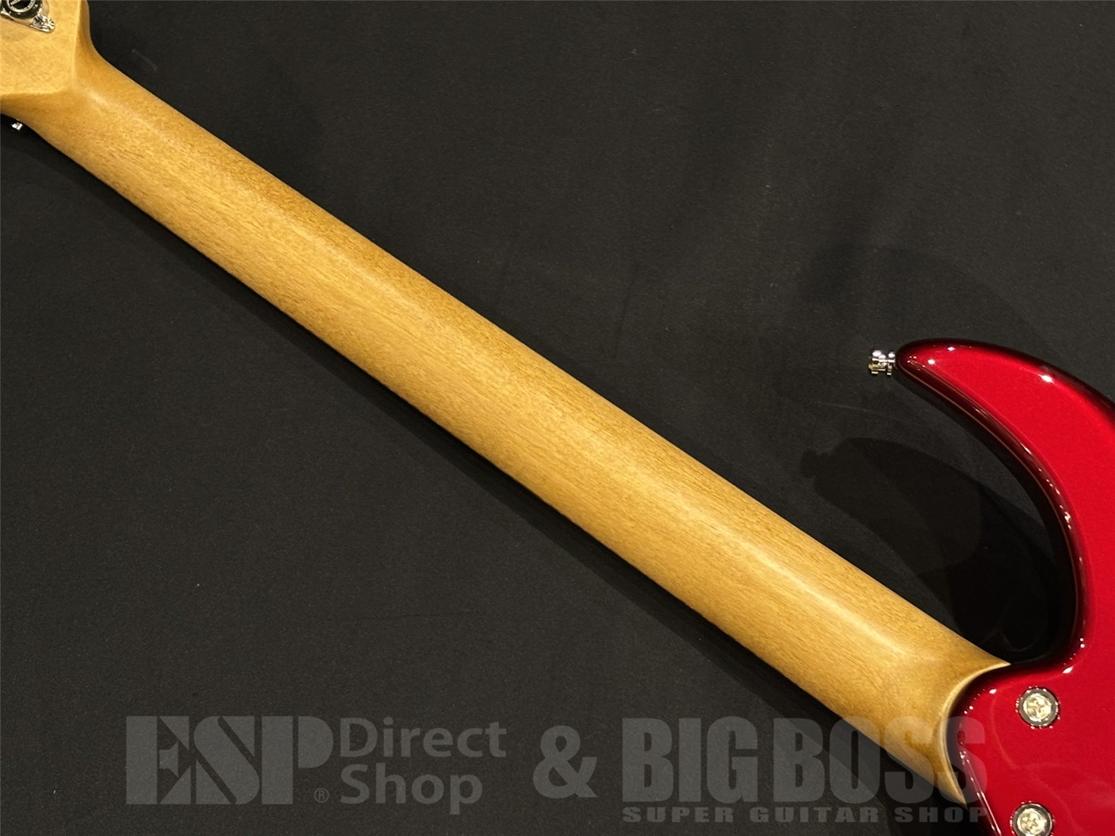 【即納可能】Killer(キラー) KG-Fascist ’23 / Delicious red 京都店 - 10