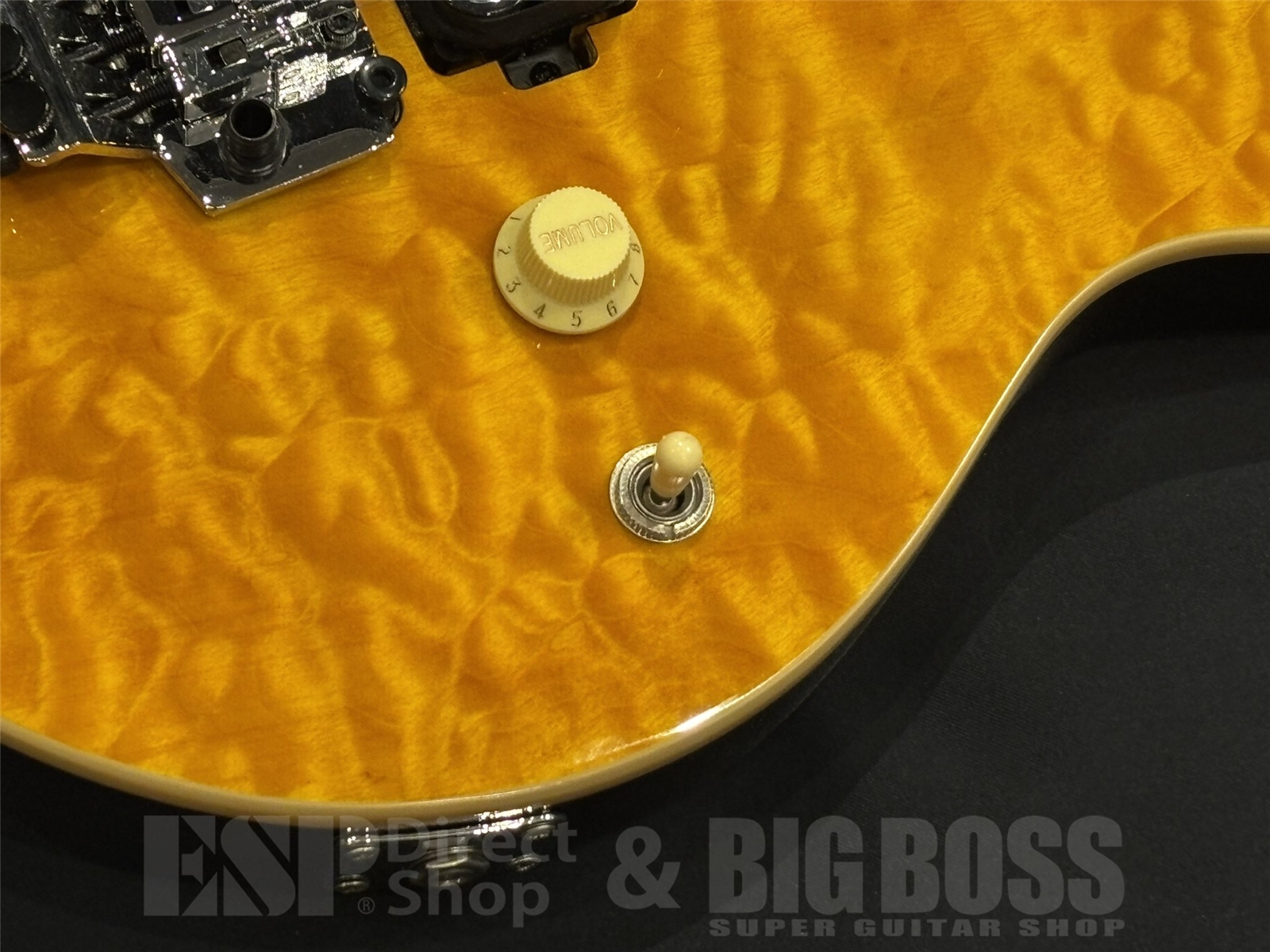 【即納可能/新品特価】Sterling by MUSIC MAN(スターリンバイミュージックマン) AX40 / Transparent Gold 京都店 - 3