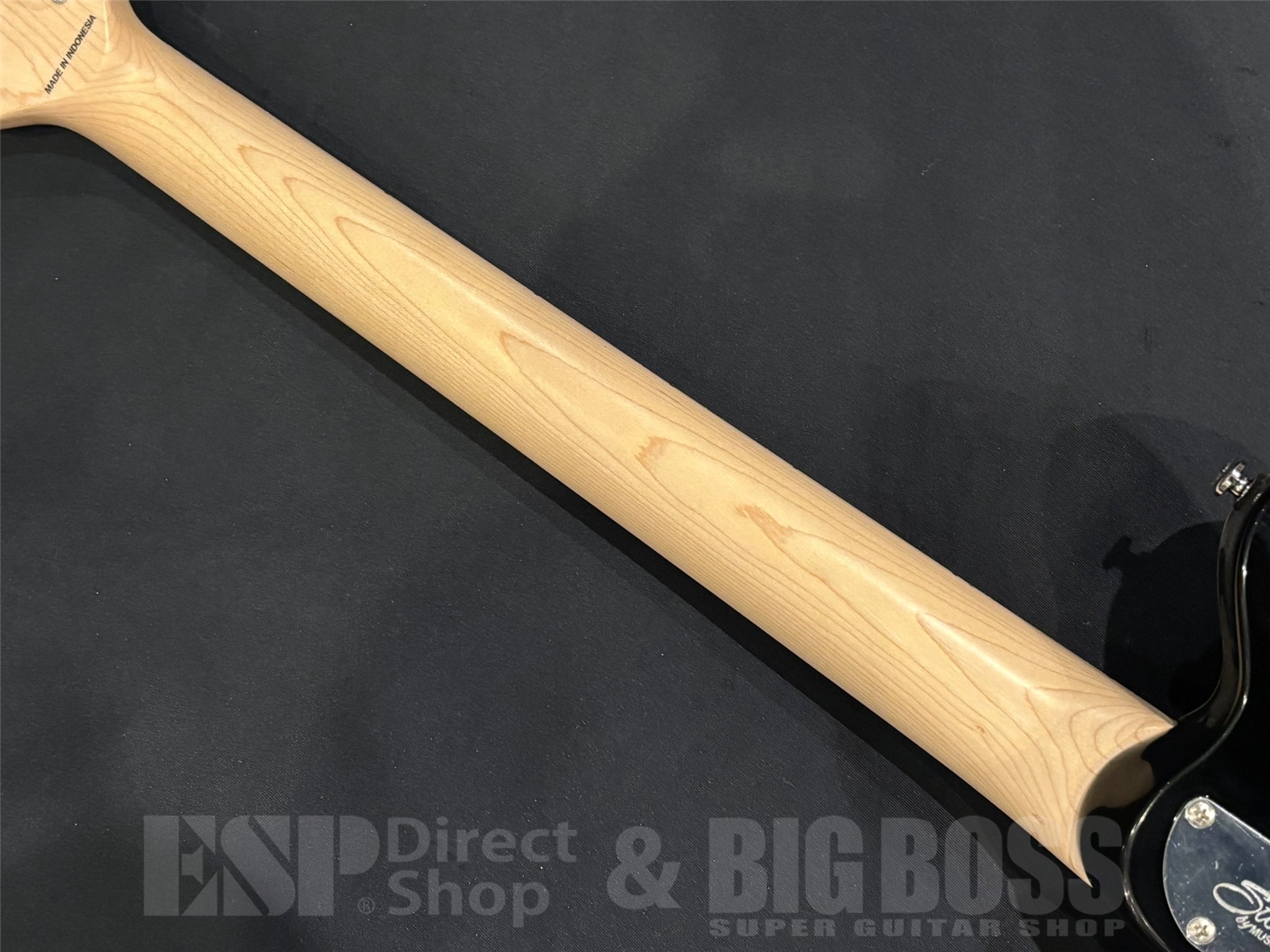 【即納可能/新品特価】Sterling by MUSIC MAN(スターリンバイミュージックマン) AX40 / Transparent Gold 京都店 - 10