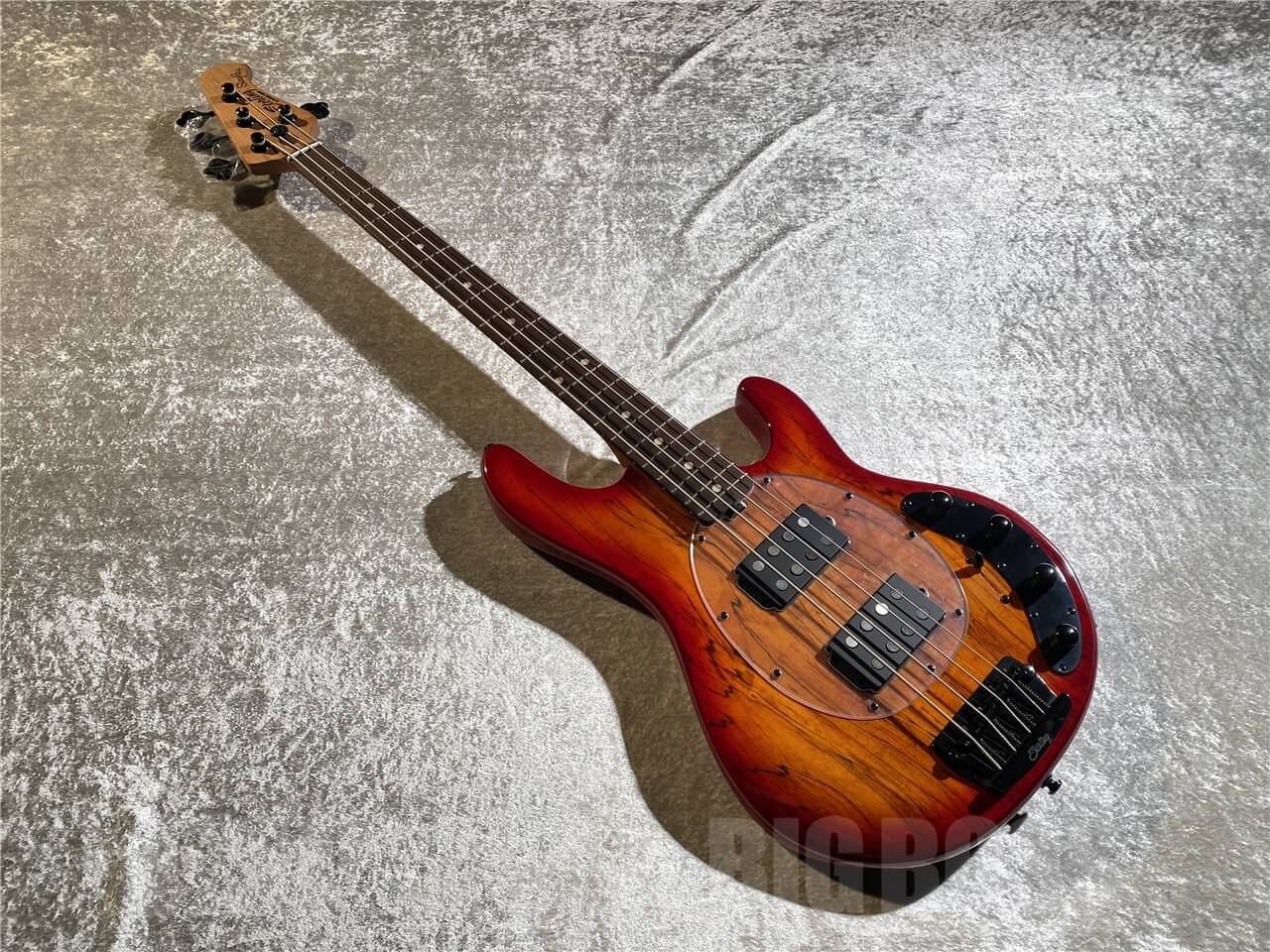 【即納可能】Sterling by MUSIC MAN(スターリンバイミュージックマン) STINGRAY RAY34  HH Spalted Maple Top (Blood Orange Burst) 札幌店 - 9