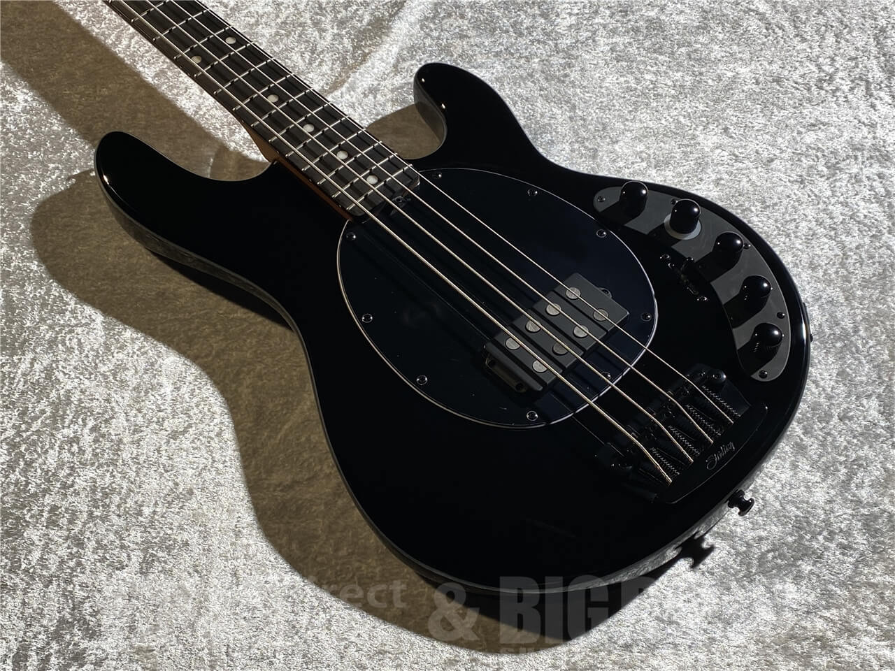 【即納可能】Sterling by MUSIC MAN(スターリンバイミュージックマン) DarkRay (Black) 札幌店 - 10
