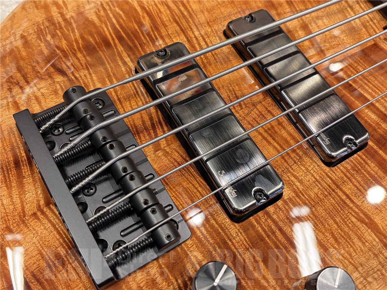 【即納可能】Sadowsky（サドウスキー）MasterBuilt,24-Fret Modern Bass, 5-String, 2025 Limited Edition（Natural Transparent High Polish）　名古屋店 - 3