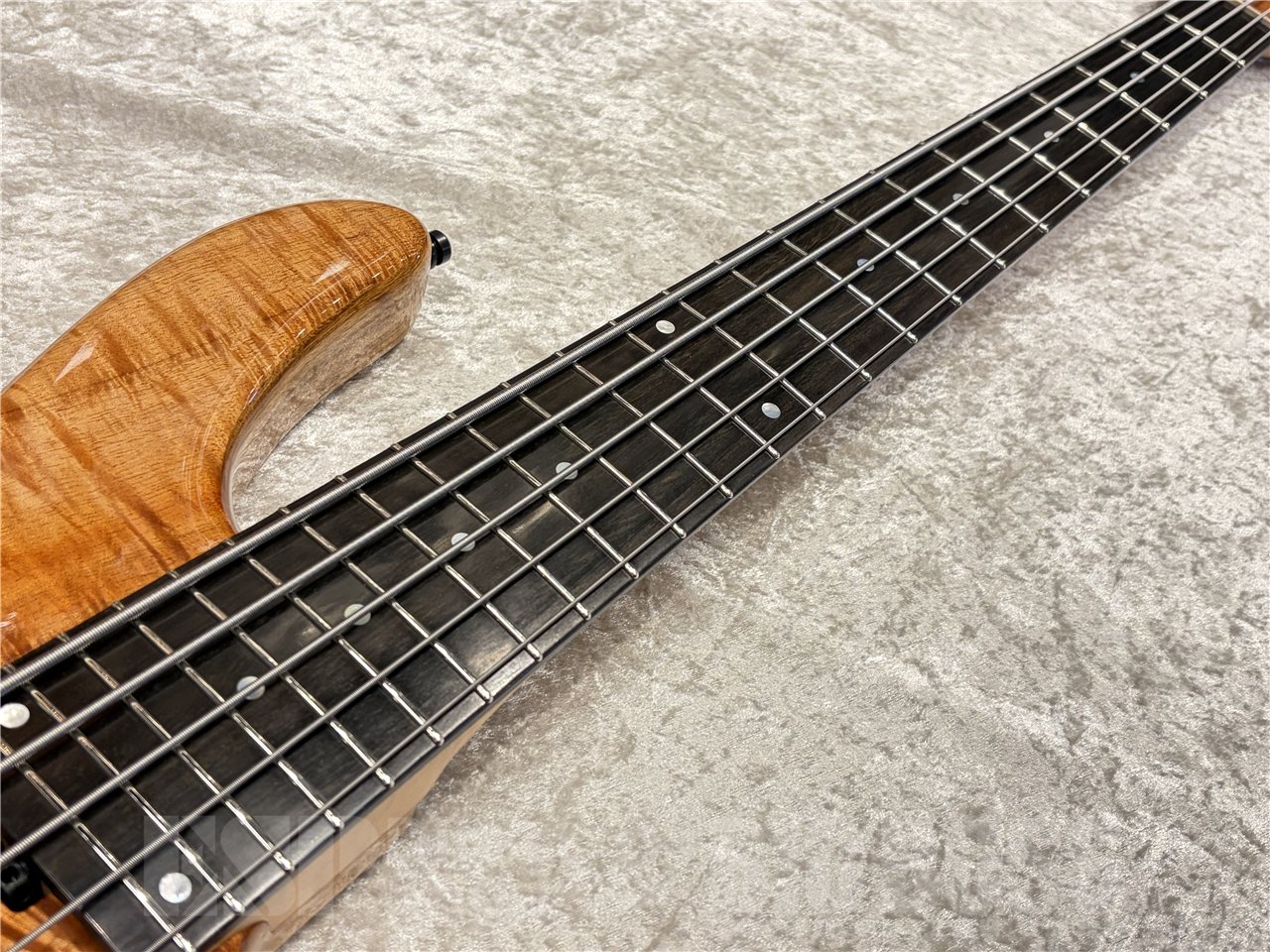 【即納可能】Sadowsky（サドウスキー）MasterBuilt,24-Fret Modern Bass, 5-String, 2025 Limited Edition（Natural Transparent High Polish）　名古屋店 - 5