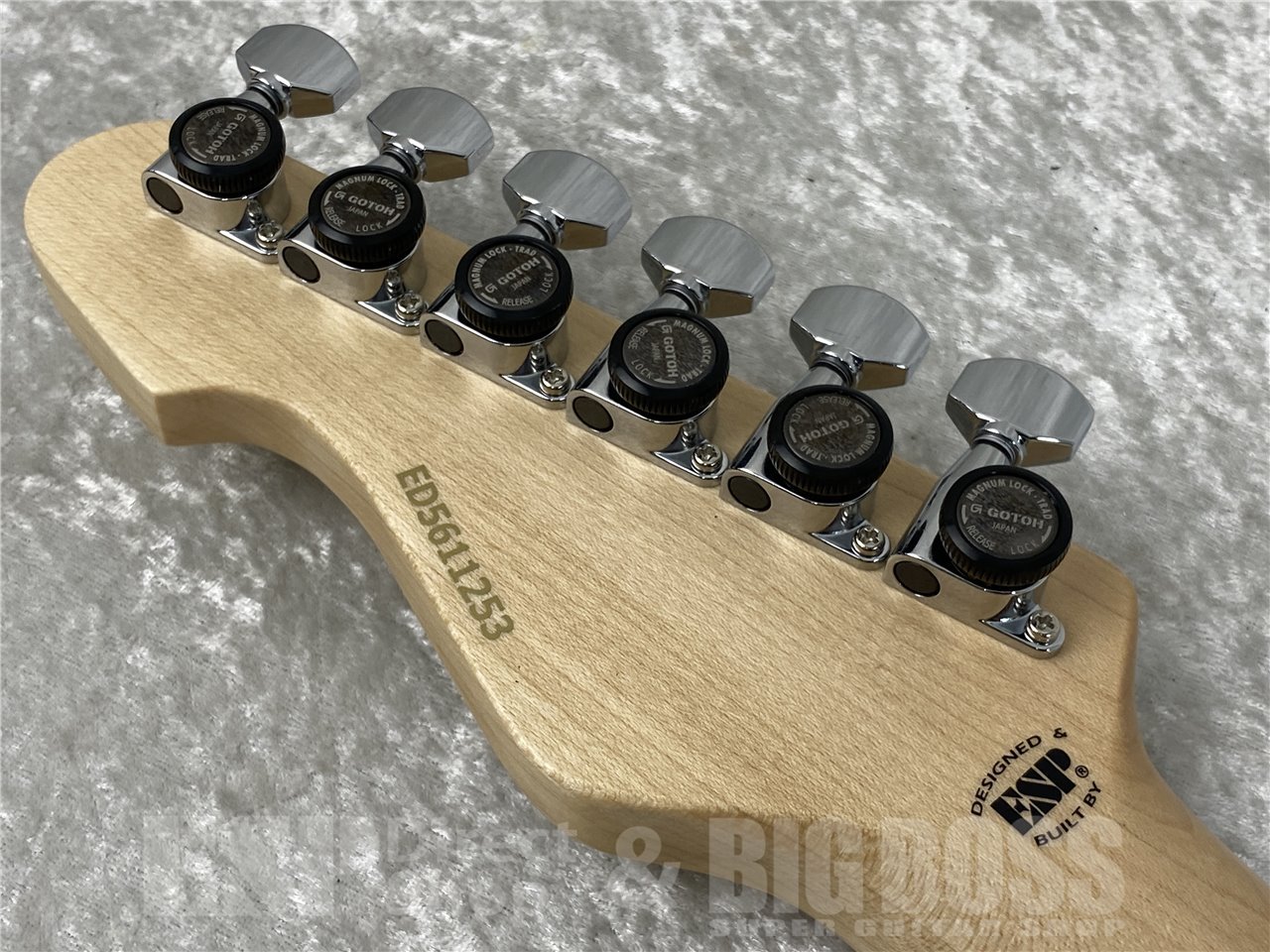 【即納可能】EDWARDS(エドワーズ) E-THROBBER-CTM (E-THROBBER-CTM) お茶の水駅前店(東京) - 10