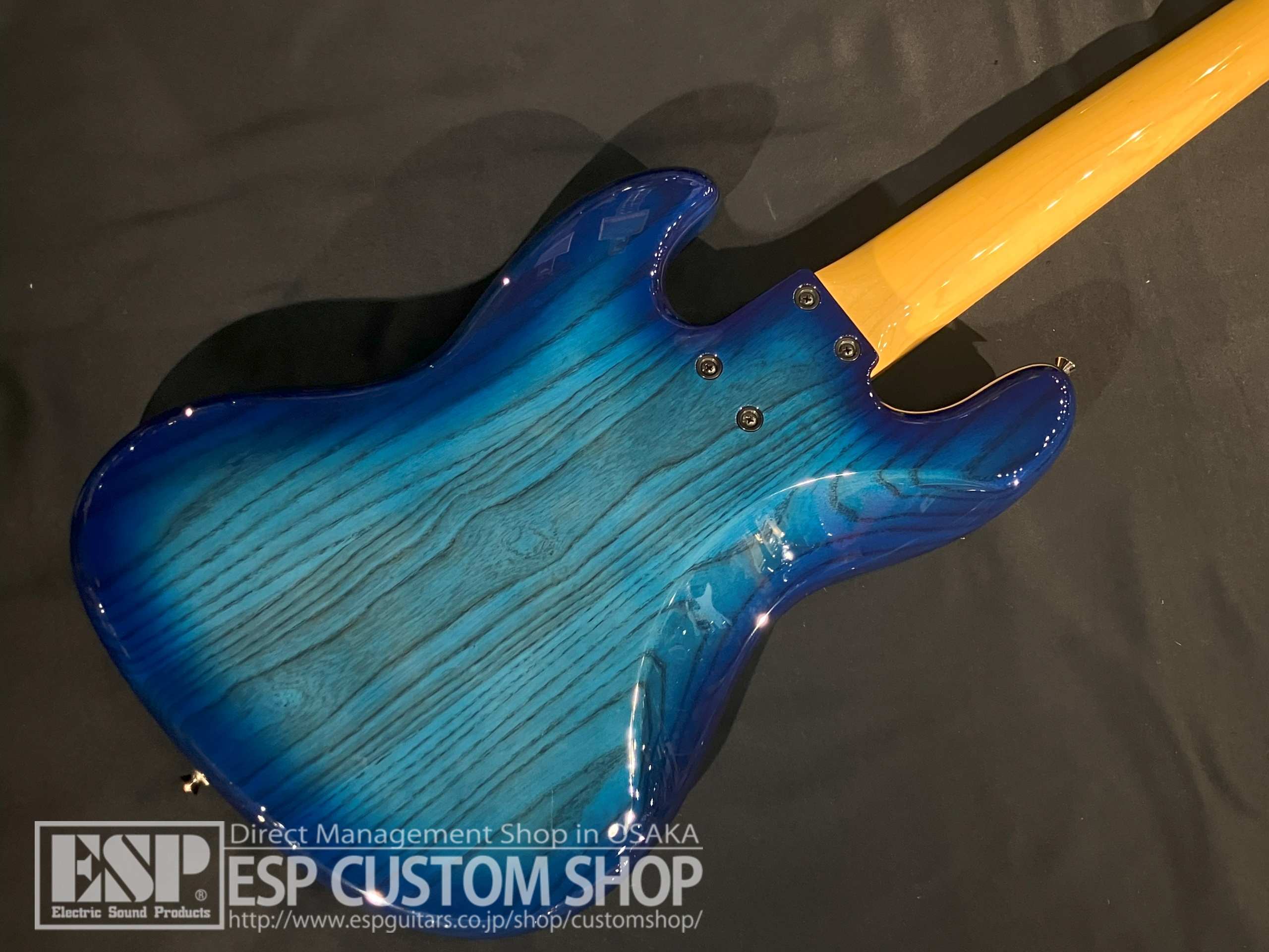 【即納可能】FUJIGEN(フジゲン) NJB100MBAHV / See-Thru Blue Burst  大阪店